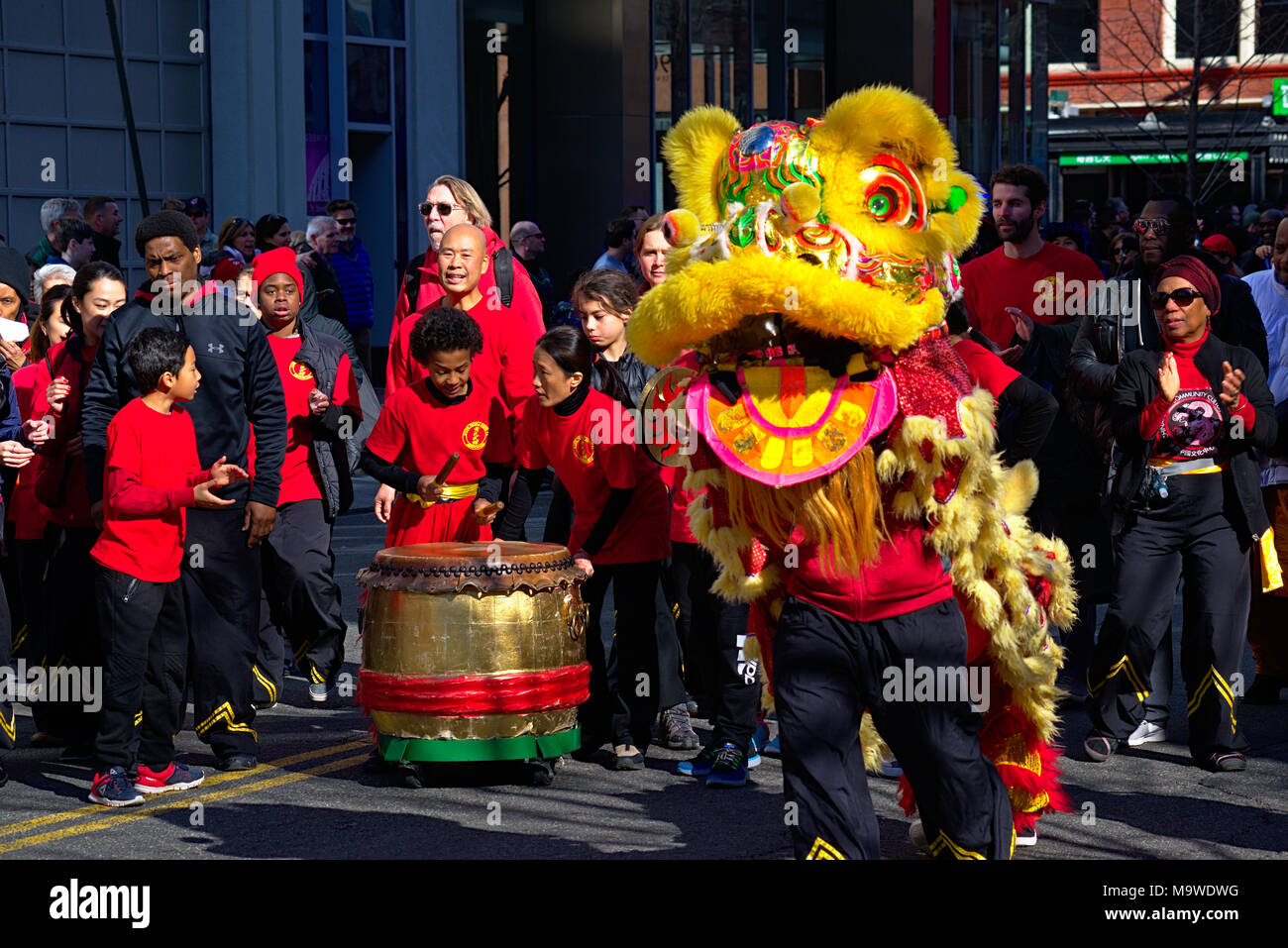 chinese new year parade lion dance