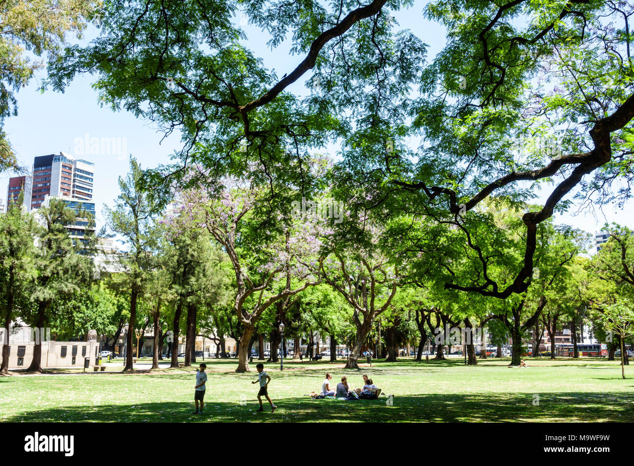 Buenos Aires Argentina,Palermo,Plaza Alemania,park,green space,trees,lawn,skyline,boy boys,male kid kids child children youngster youngsters youth you Stock Photo