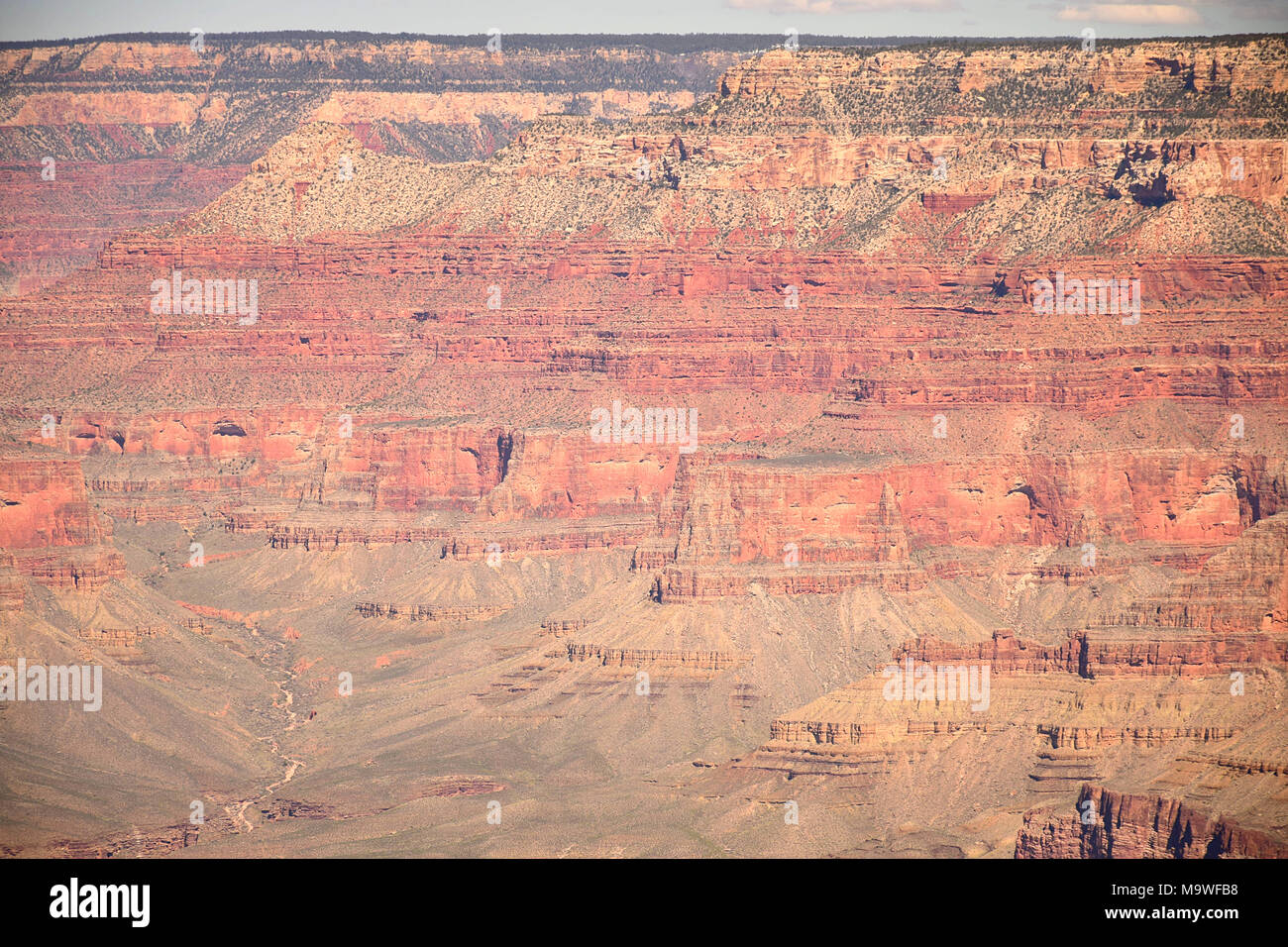 Landscape of the Grand Canyon National Park, USA Stock Photo