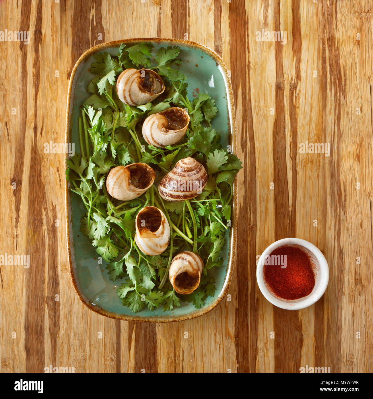 french food, cooked stuffed snails dish decorated with coriander on a plate, on a wooden table and copy space for text Stock Photo