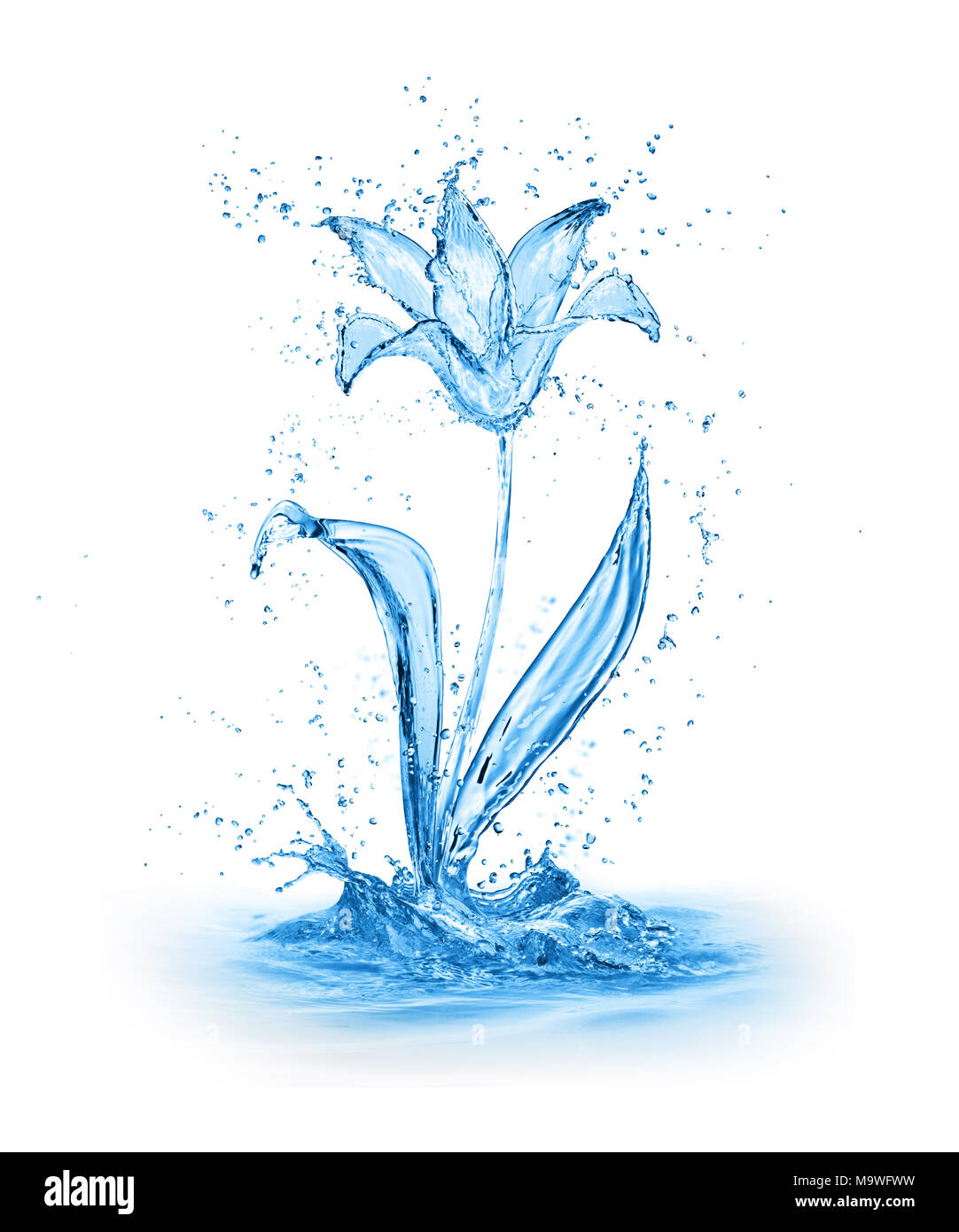 flower made of water splashes isolated on white background Stock Photo