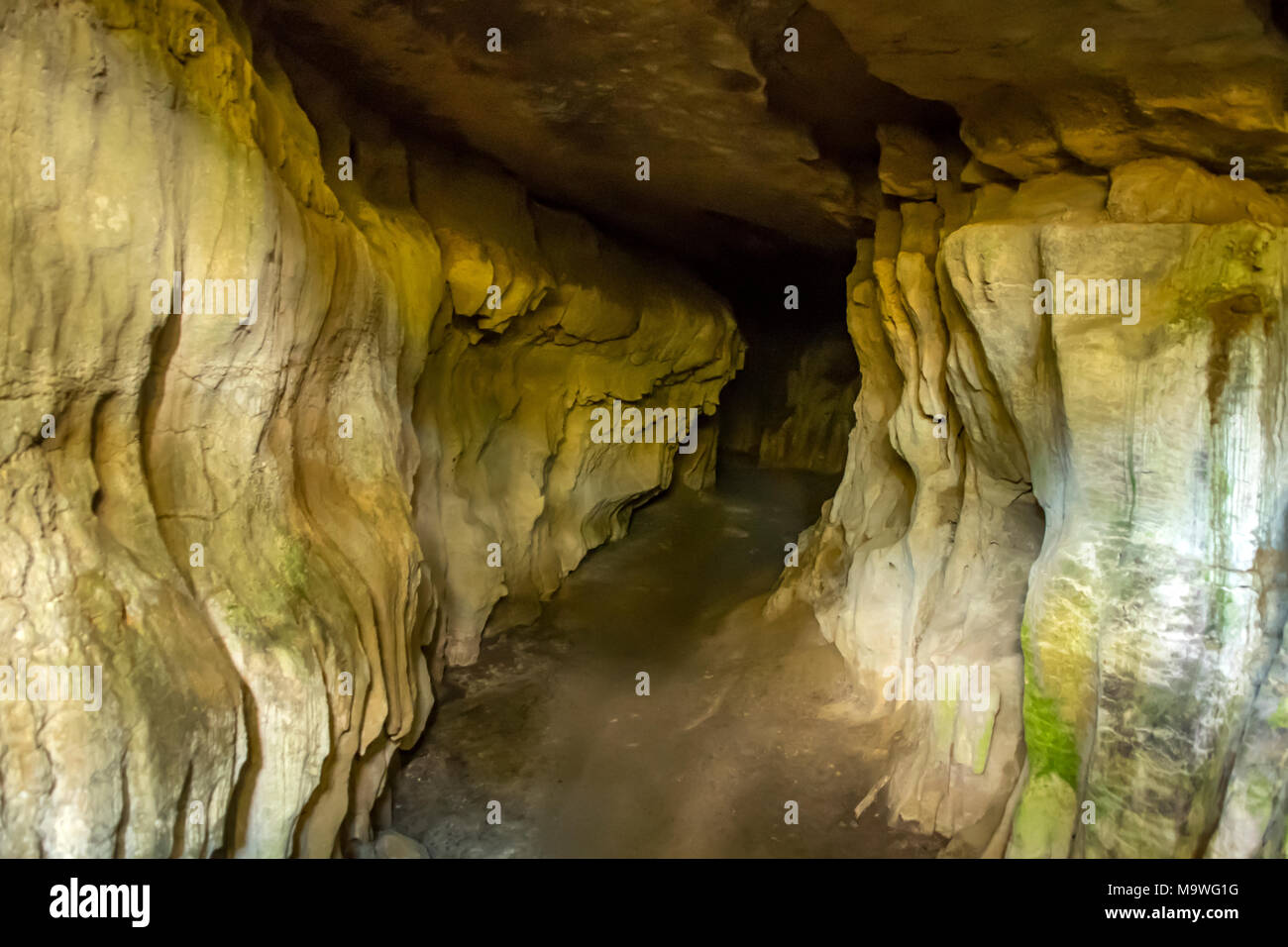 Box Canyon Cave, Kahurangi National Park, South Island, New Zealand Stock Photo