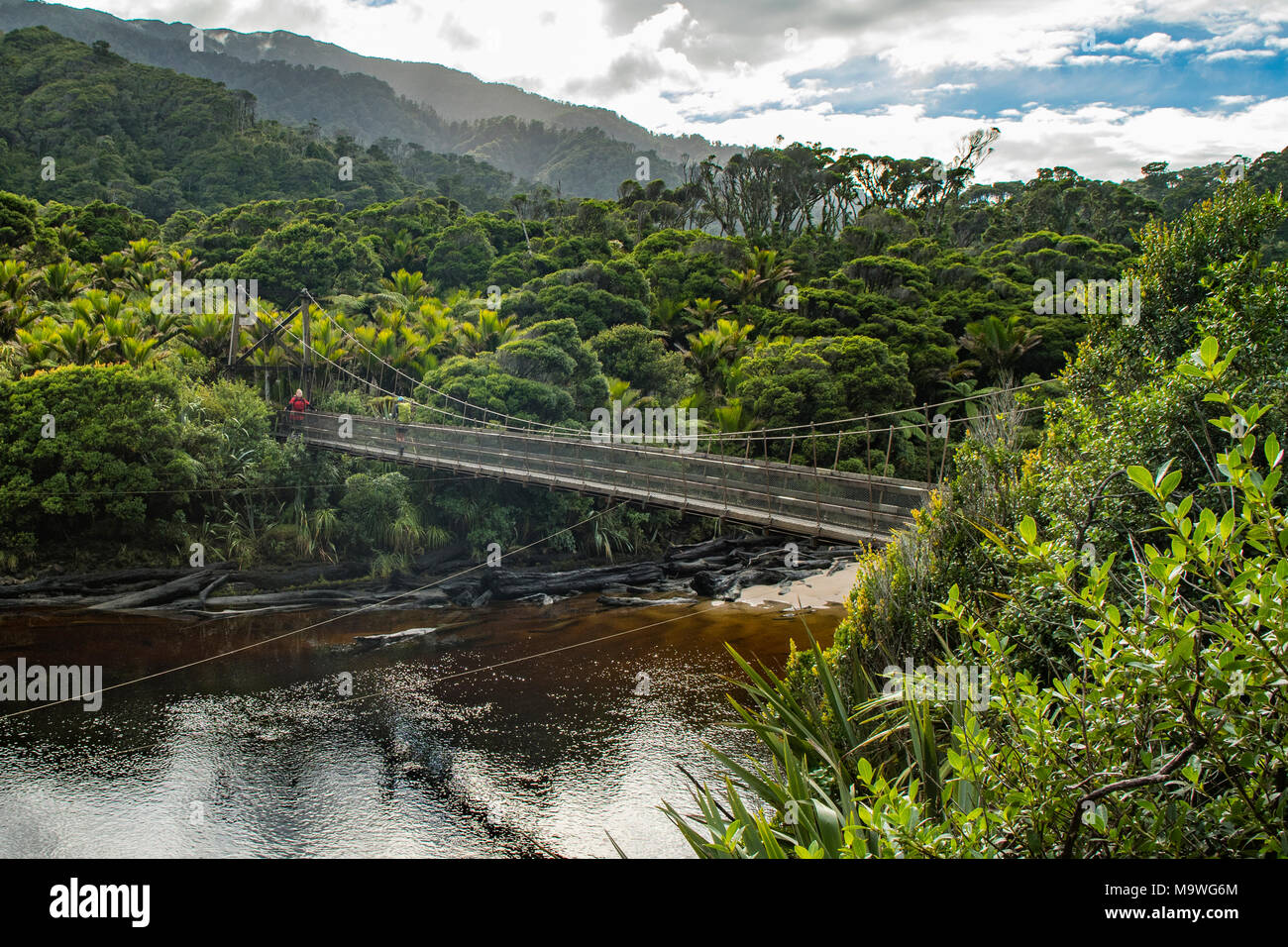Kohaihai River Swingbridge, Kahurangi National Park, South Island, New Zealand Stock Photo