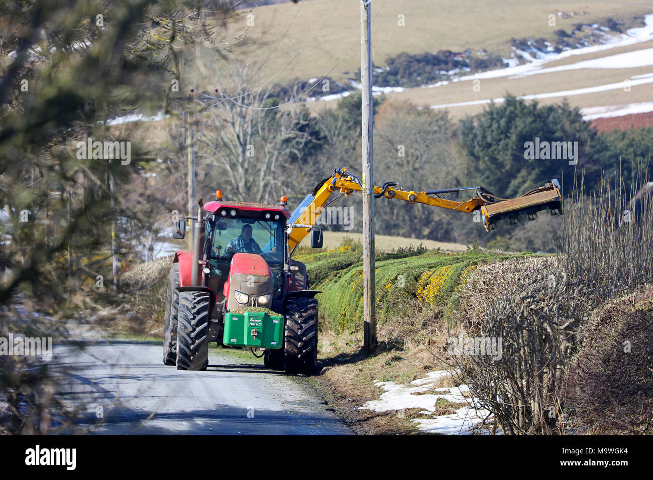 Hedge cutting Scottish borders. Stock Photo