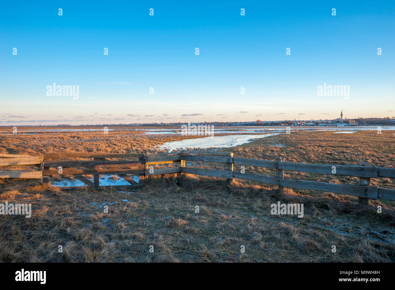 Wintry landscape in the nature reserve Graswarder, Heiligenhafen, Baltic Sea, Schleswig-Holstein, Germany, Europe Stock Photo