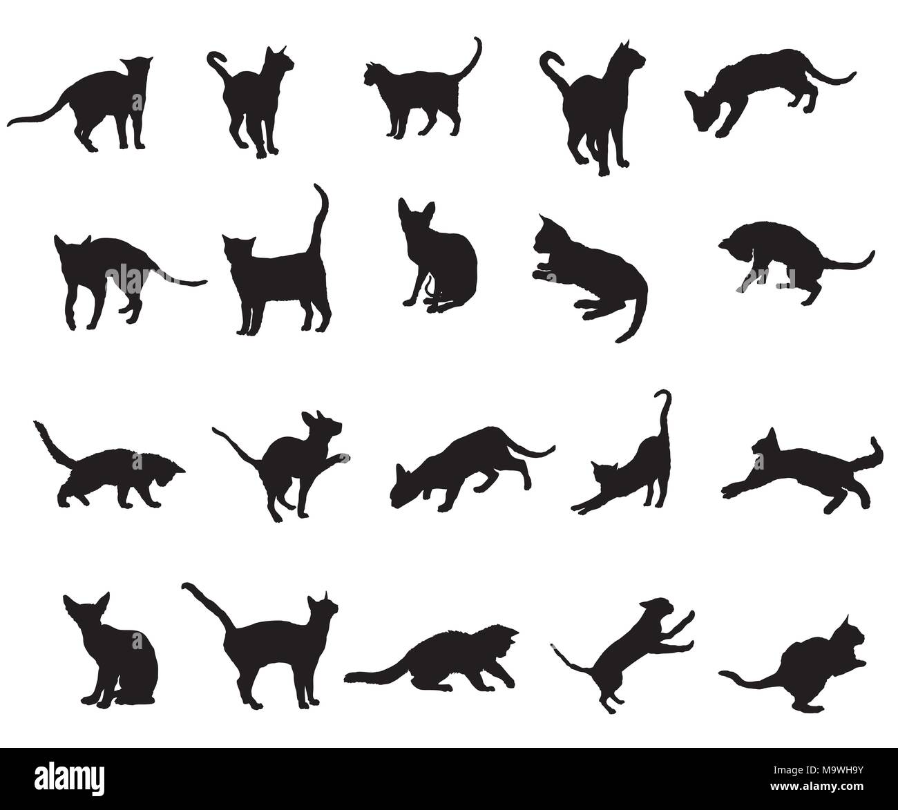 Set of different breeds cats silhouettes (sitting, standing, lying, playing) in black color isolated on white background. Vector  monochrome illustrat Stock Vector