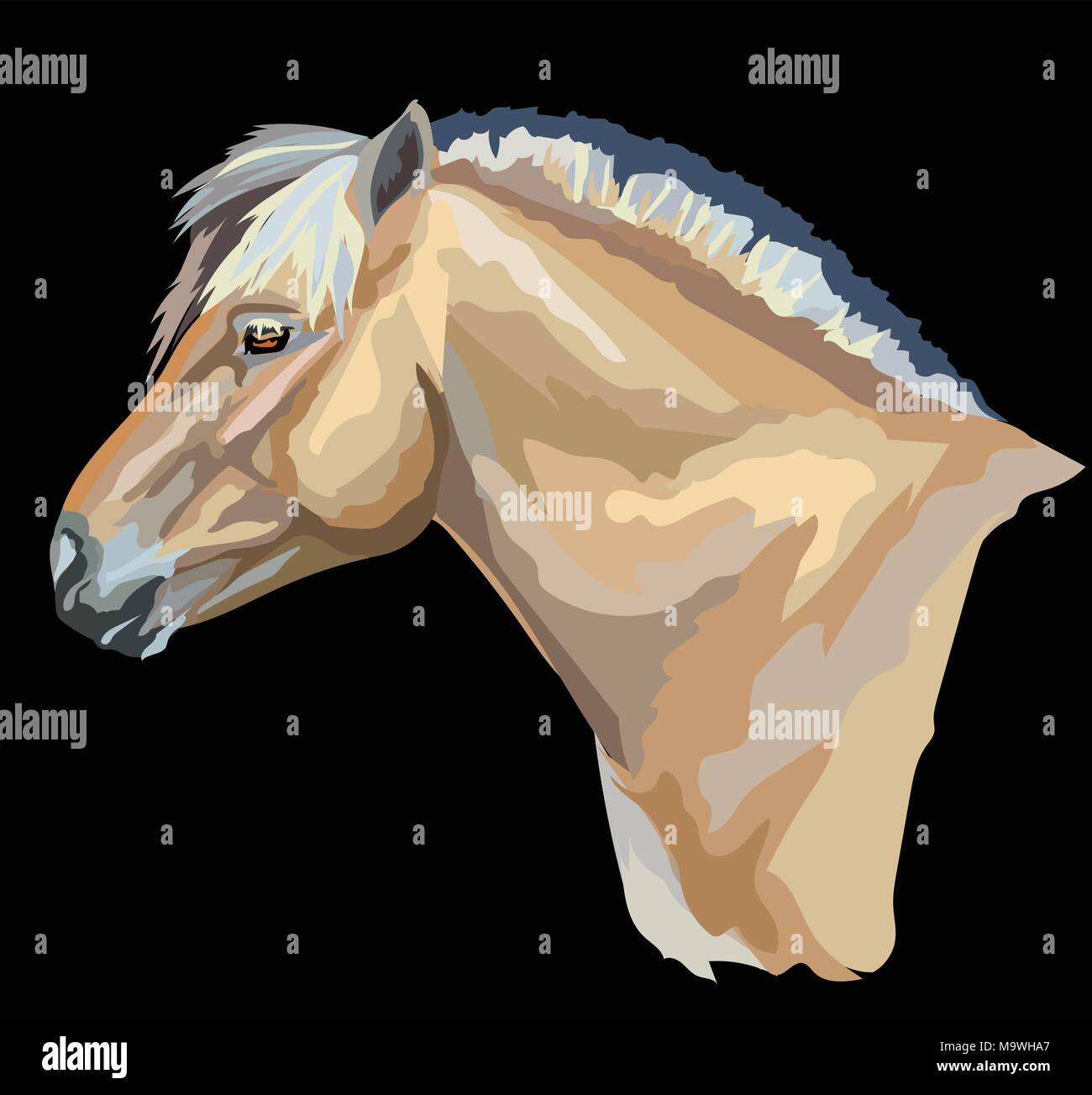 Colored portrait of  Norwegian fjord pony. Horse head with long mane in profile isolated vector illustration on black background Stock Vector