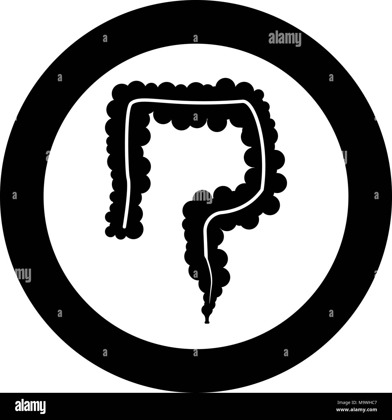 Gastrointestinal digestive Black and White Stock Photos & Images - Alamy