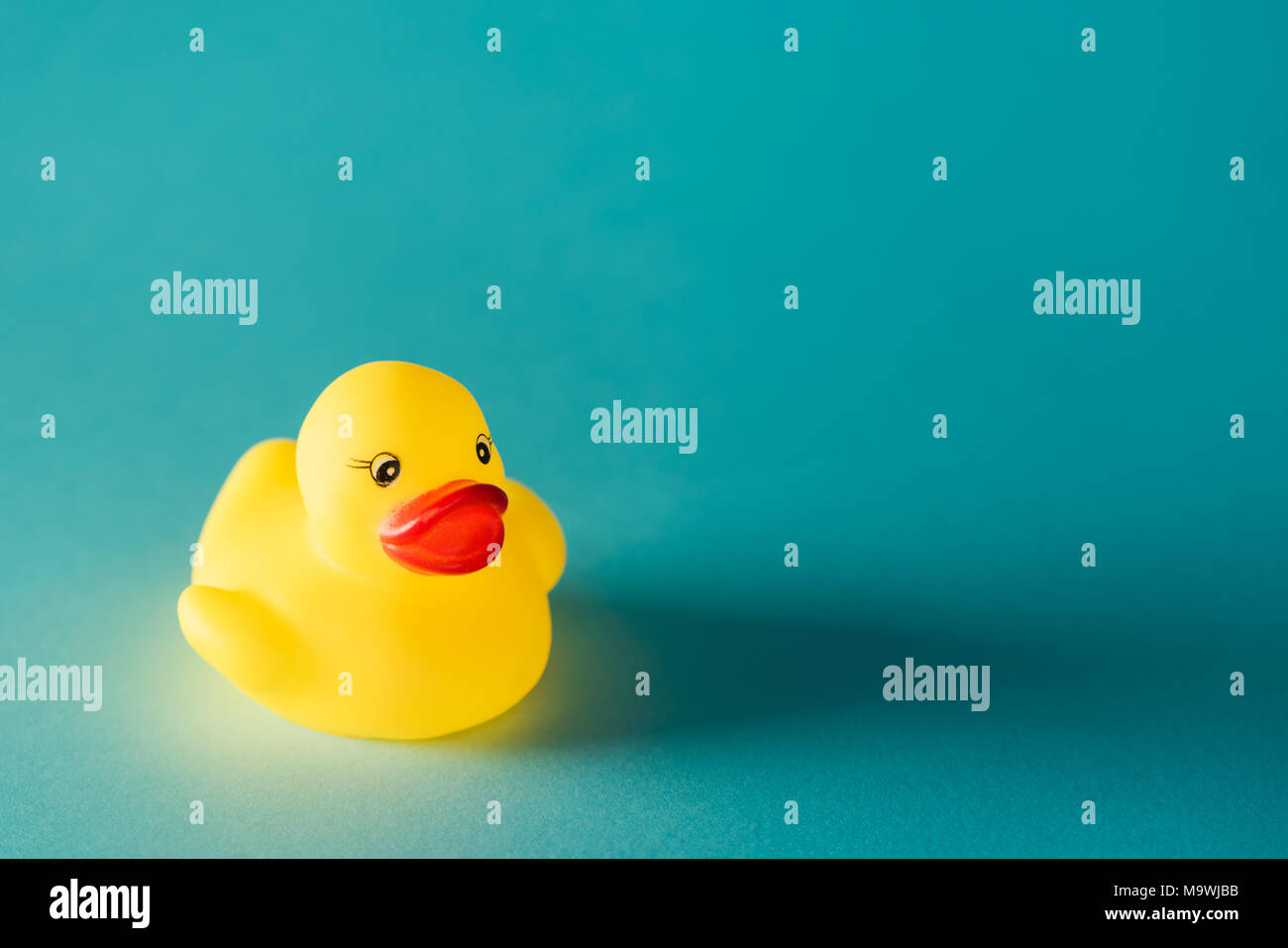 Yellow rubber duck toy on blue background with copy space Stock Photo ...