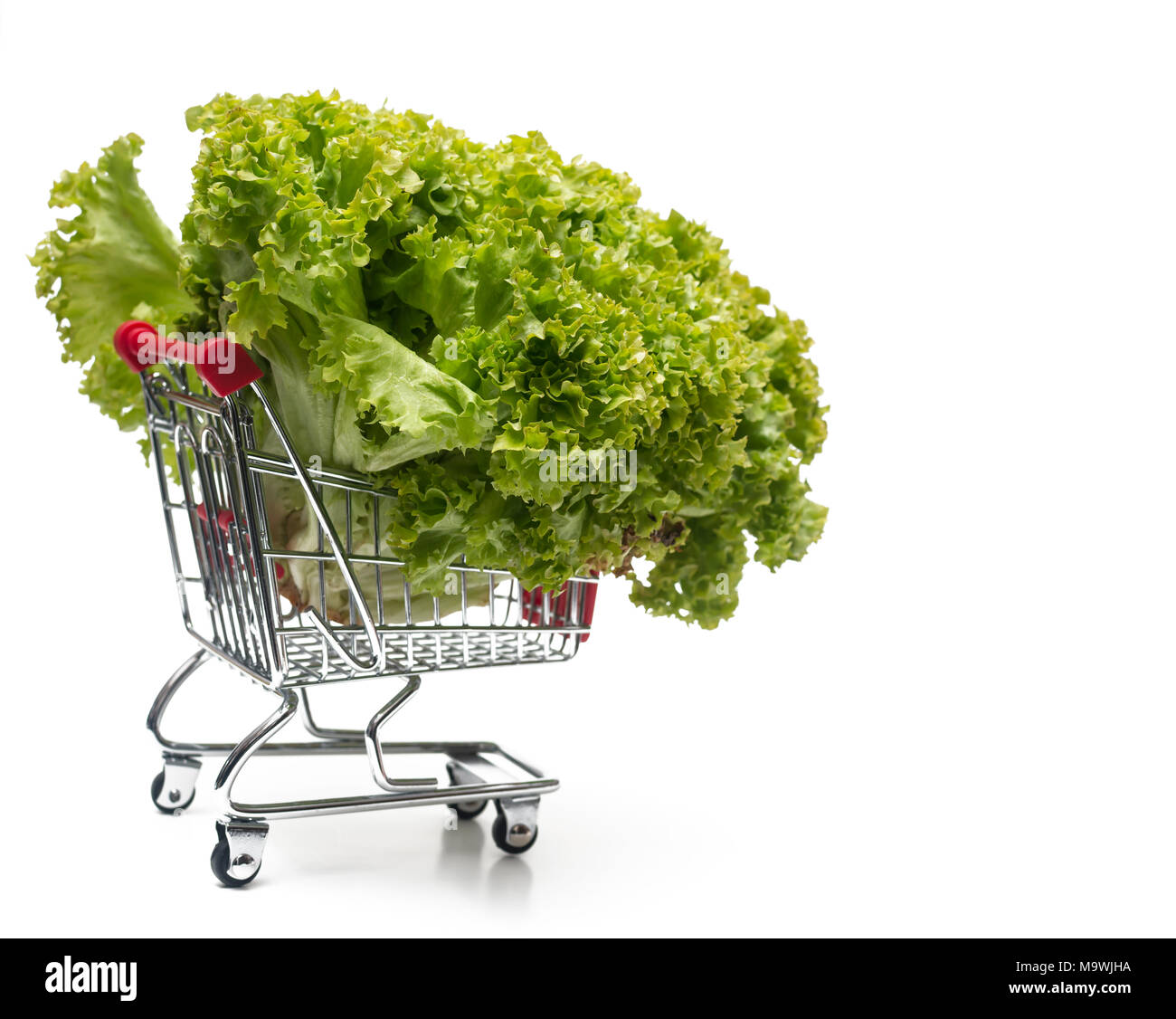 Buying a Lettuce from supermarket, Lettuce in shopping cart, shoping