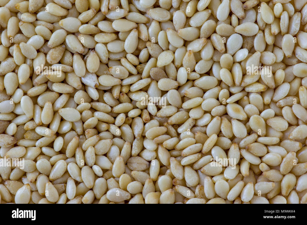 macro of sesame seeds Stock Photo