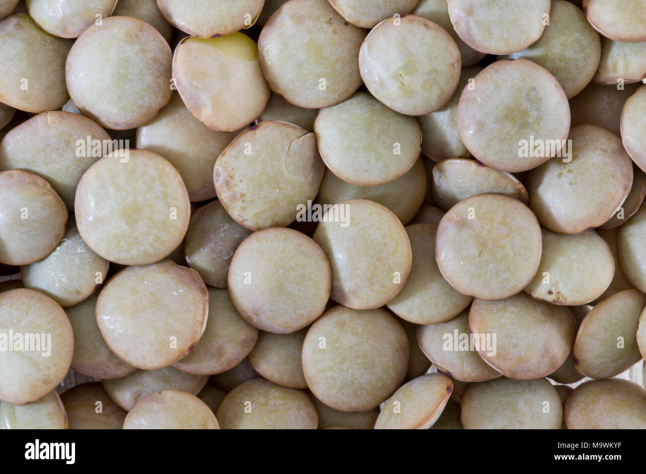 whole white lentils Stock Photo