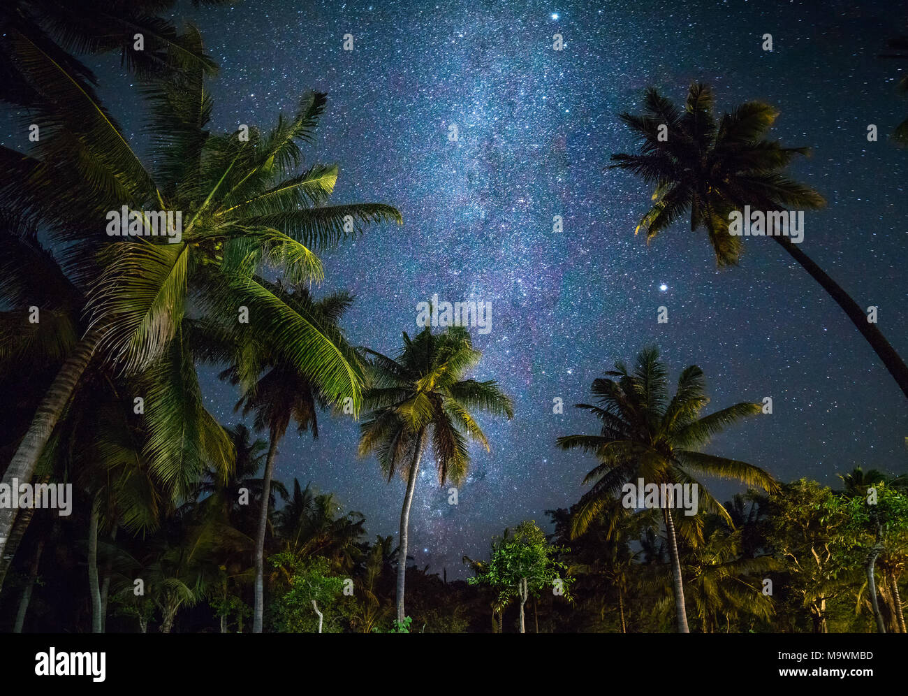 Tropical night sky hi-res stock photography and images - Alamy