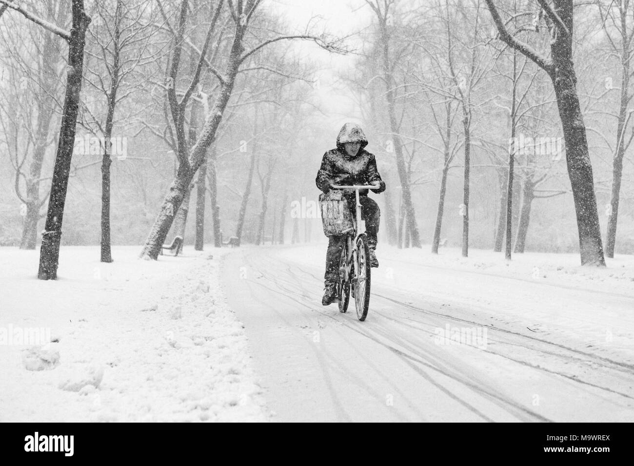 Man biking through the Amsterdam Vondelpark on a snowy day in december. Stock Photo