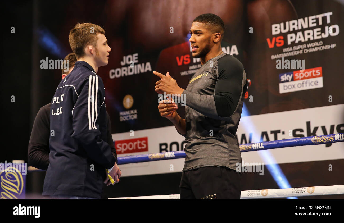 Discussion on this topic: When MH met Anthony Joshua, when-mh-met-anthony-joshua/ Communication on this topic: When MH met Anthony Joshua, when-mh-met-anthony-joshua/