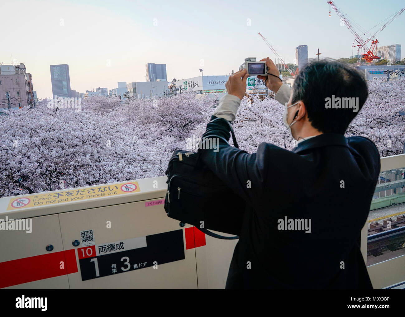 Tokyo, Japan. 28th Mar, 2018. A man take a photo of cherry blossoms ...