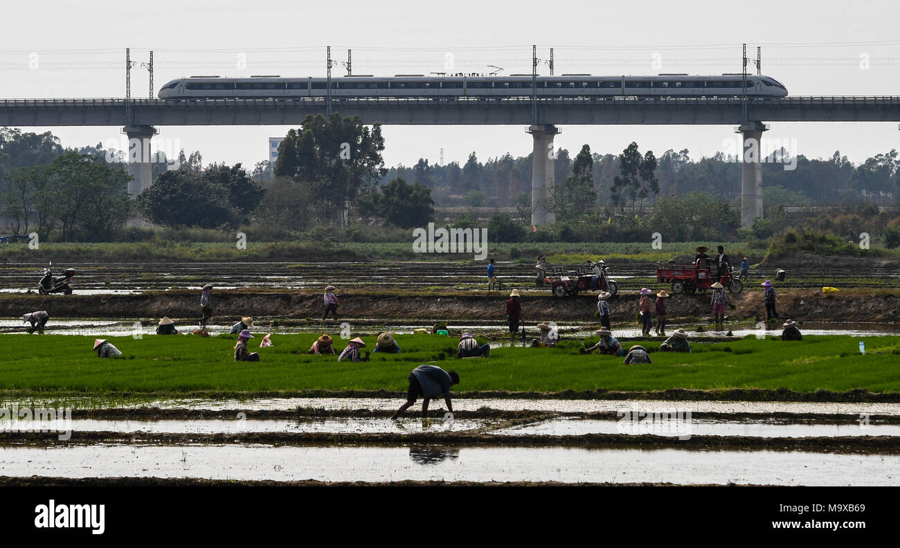 Haikou. 7th Mar, 2018. Photo taken on March 7, 2018 shows a bullet train running on the western track of the high-speed loop line near Dongfang Railway Station, south China's Hainan Province. The 653-km high-speed railway line circling the island received over 25 million passengers in 2017. Credit: Yang Guanyu/Xinhua/Alamy Live News Stock Photo