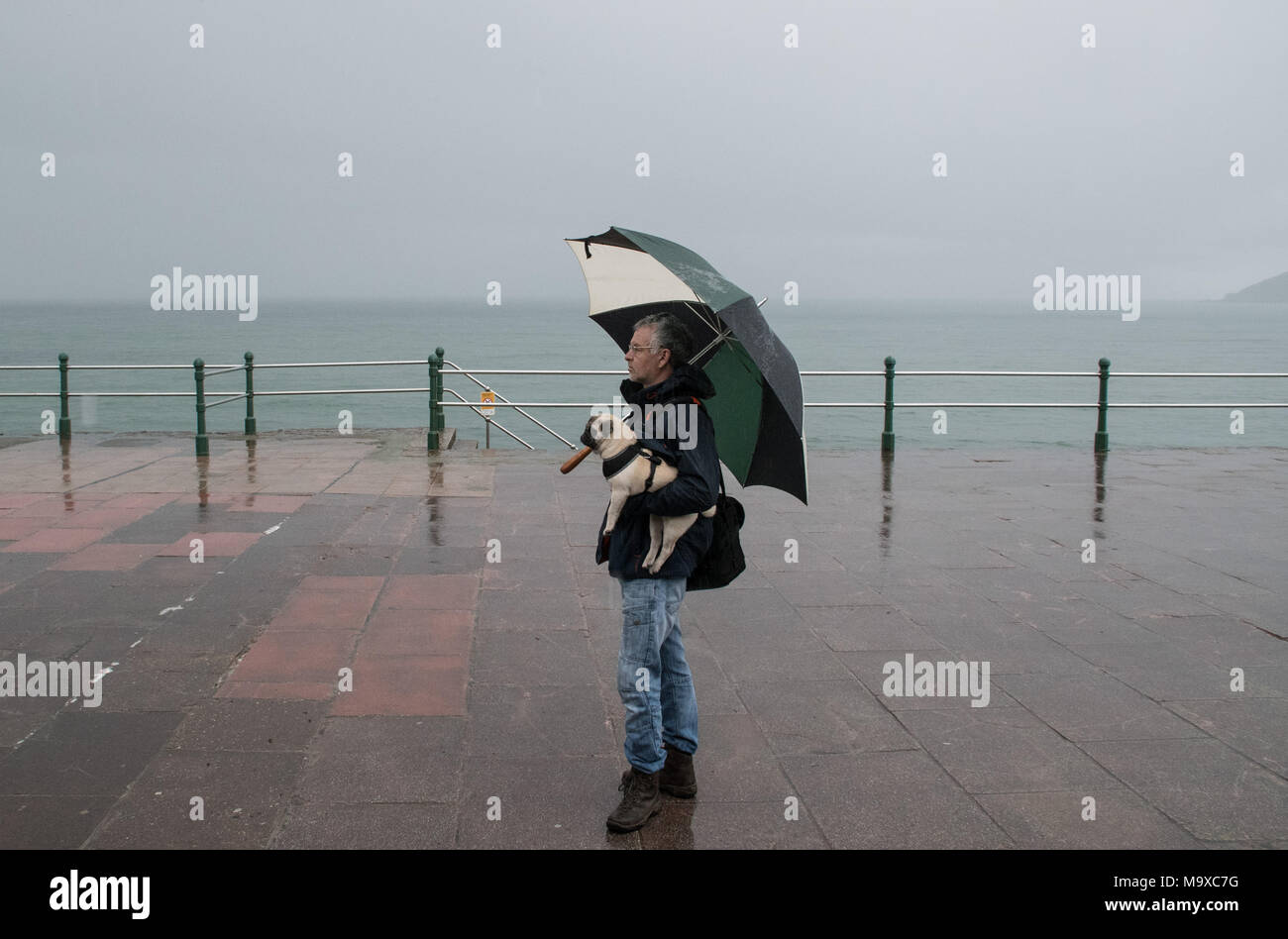 Penzance seafront, Cornwall, UK. 29th March 2018. UK Weather. Heavy rain for dog walkers out first thing, on the seafront at Penzance. Heavy, wintry showers are forecast for the bank holiday weekend. Seen here pug puppy 'Titan' Credit: Simon Maycock/Alamy Live News Stock Photo