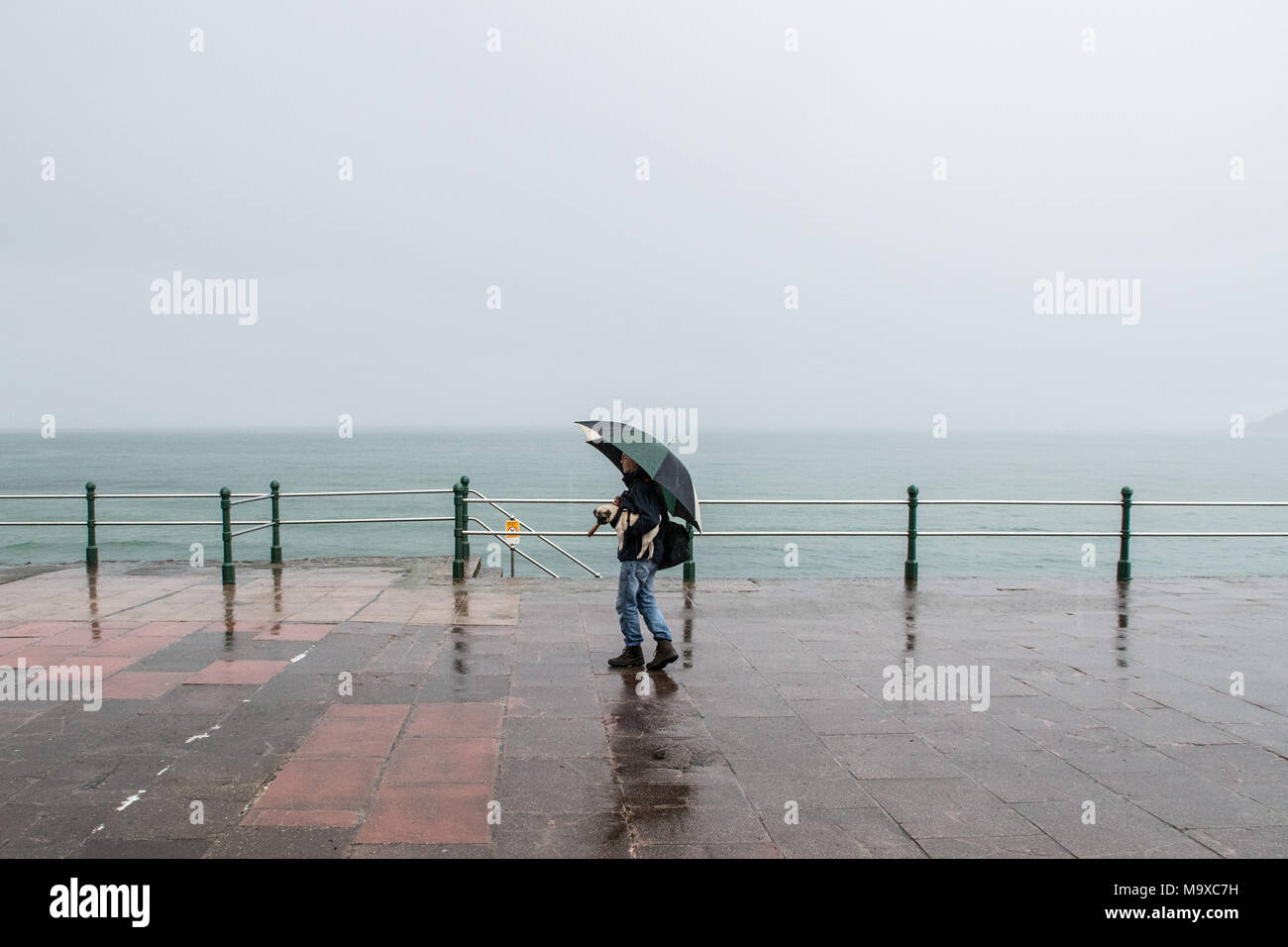 Penzance seafront, Cornwall, UK. 29th March 2018. UK Weather. Heavy rain for dog walkers out first thing, on the seafront at Penzance. Heavy, wintry showers are forecast for the bank holiday weekend. Seen here pug puppy 'Titan' Credit: Simon Maycock/Alamy Live News Stock Photo