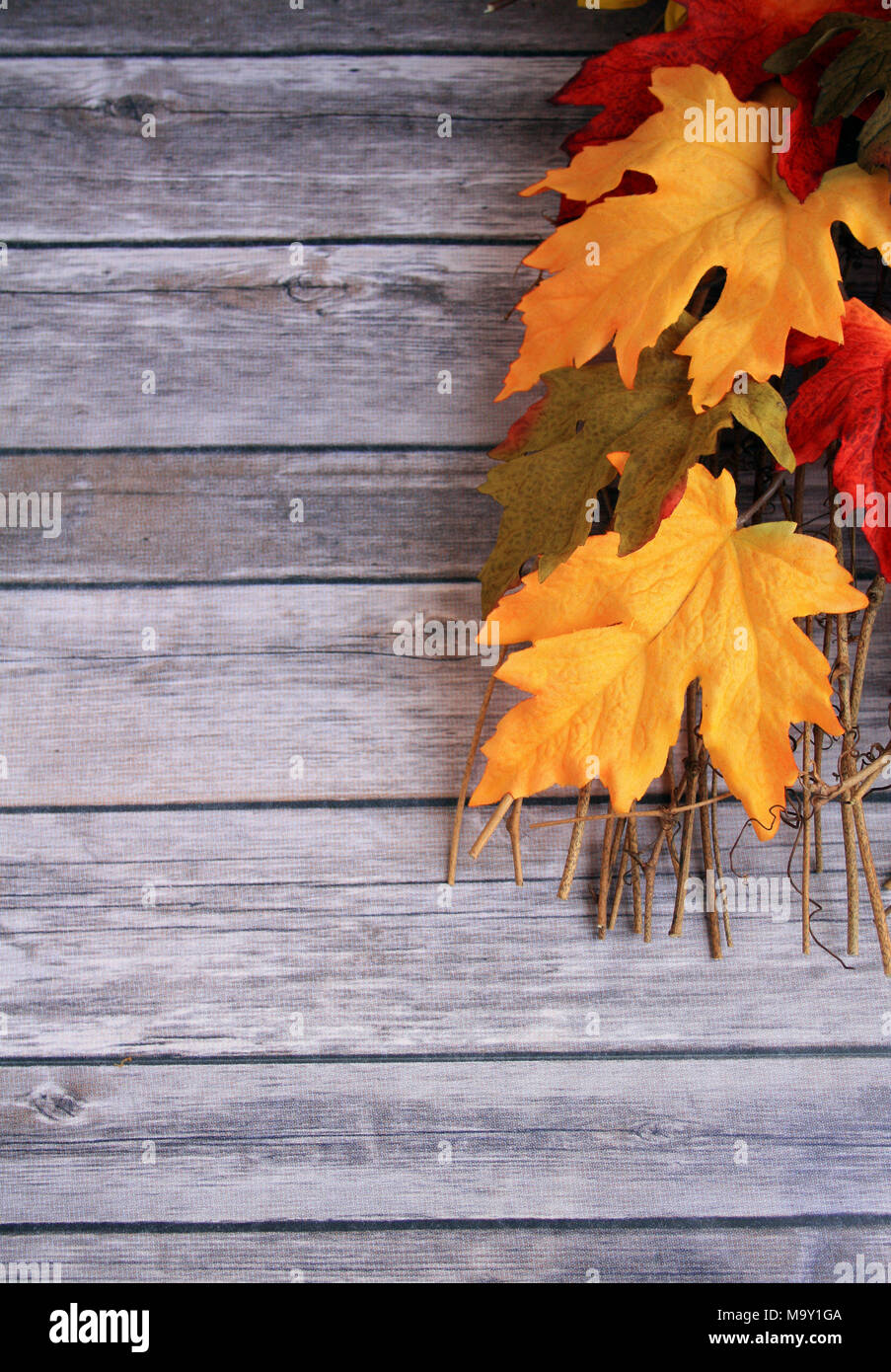 colorful fall leaves and twigs on a Rustic wooden background in vertical format Stock Photo