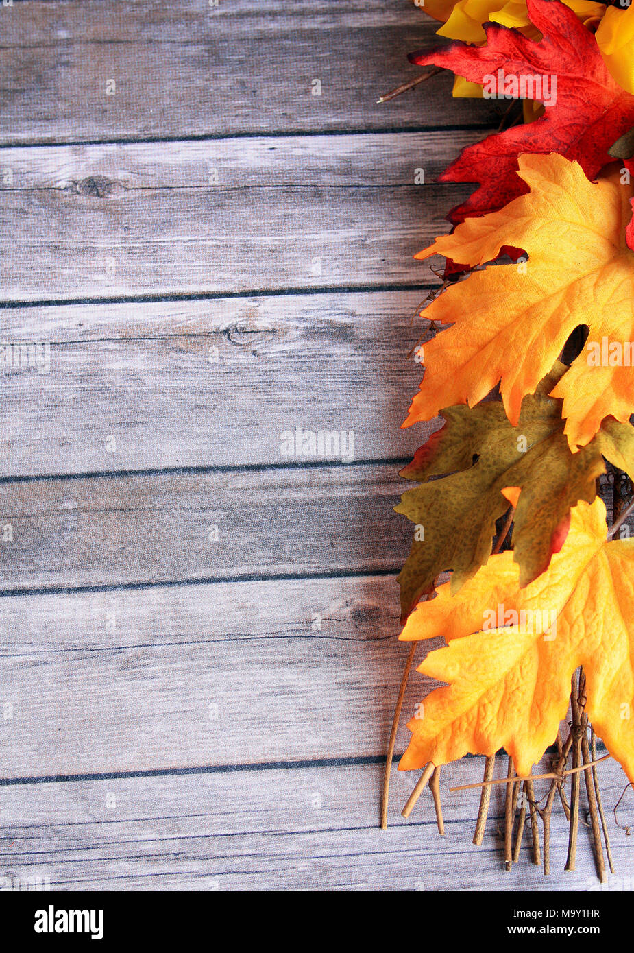 colorful fall leaves and twigs on a Rustic wooden background in vertical format Stock Photo