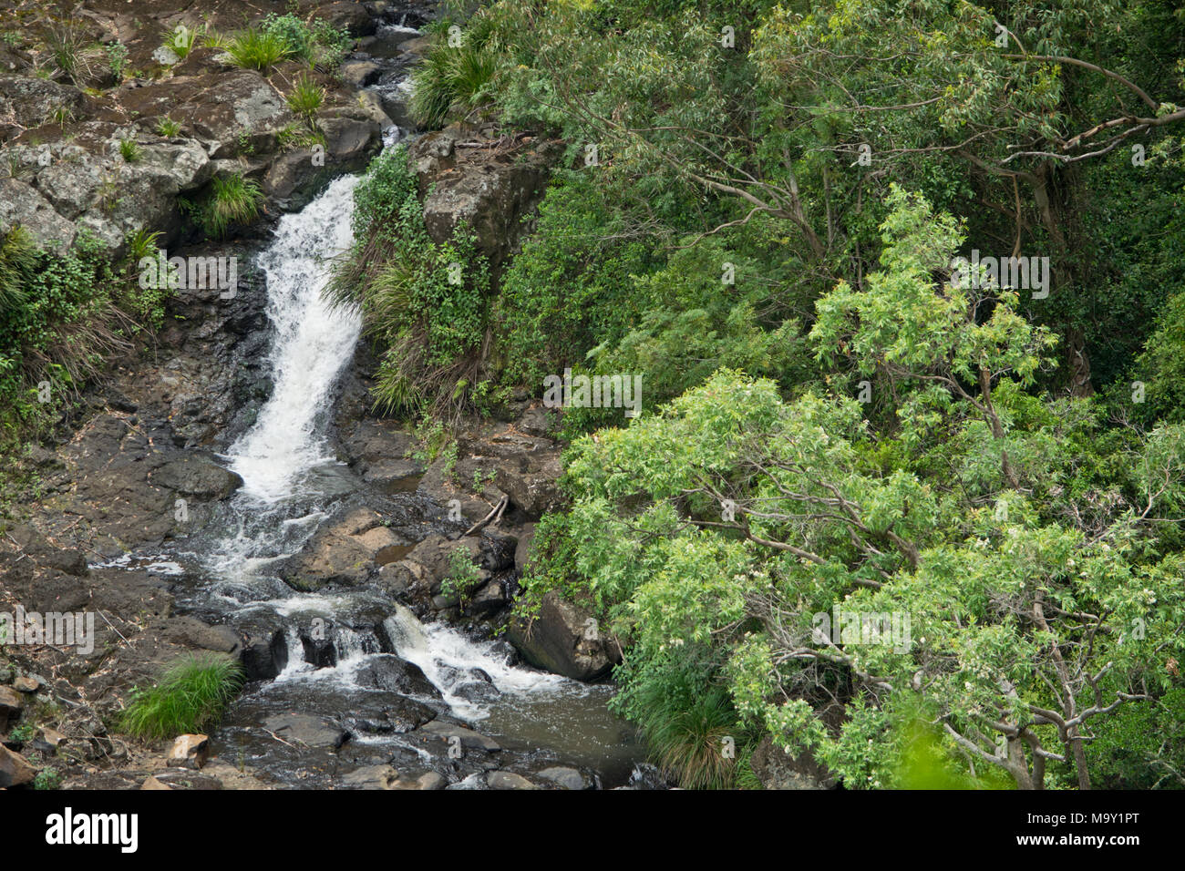 Tourismmtrees hi-res stock photography and images - Alamy