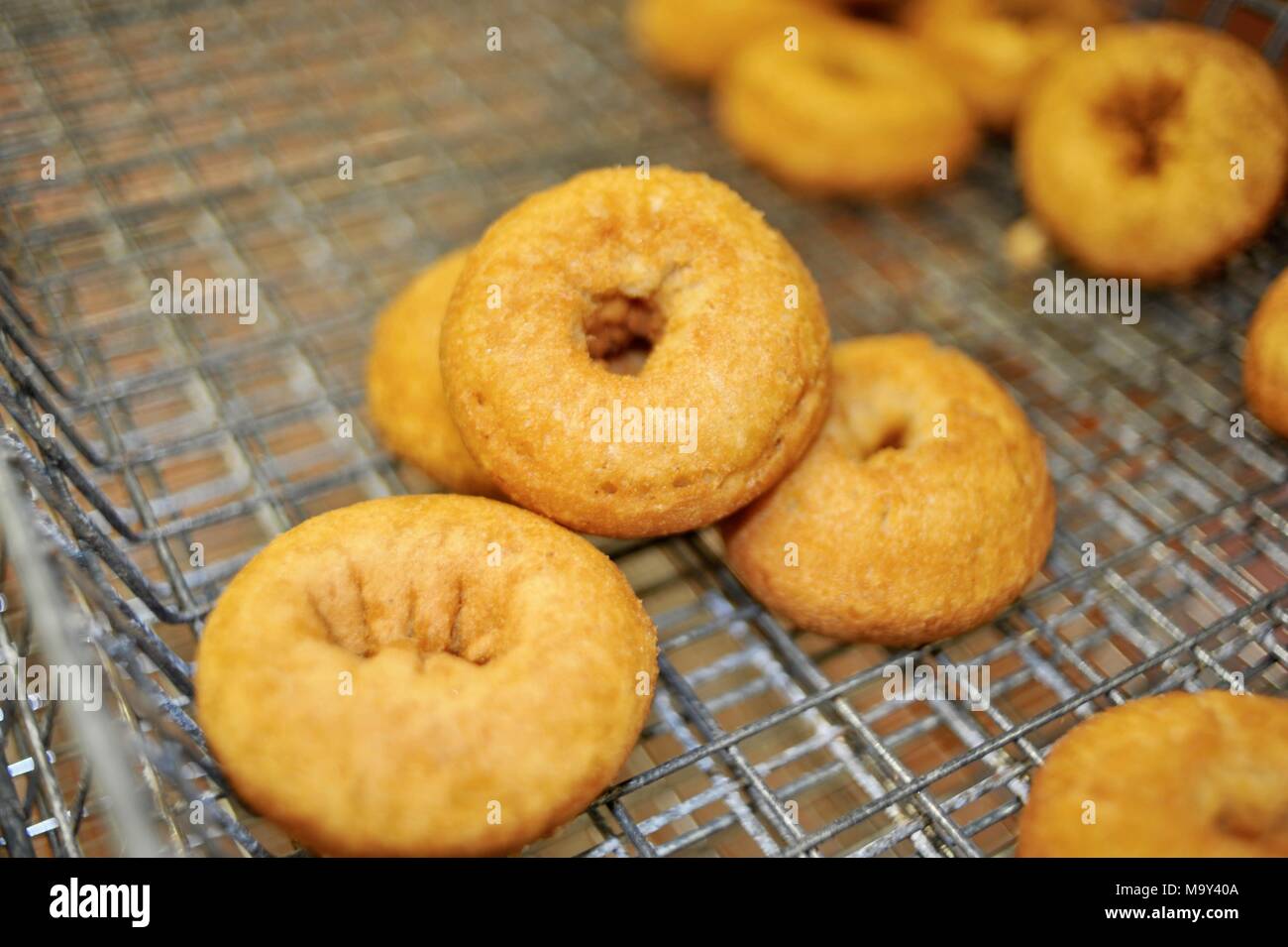 Hot, fresh fried cider donuts made at the historic 1837 Franklin Cider