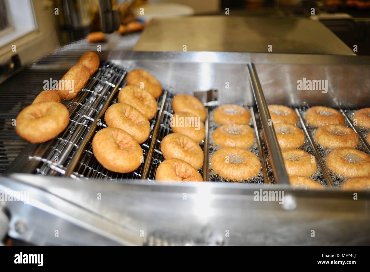 Hot, fresh fried cider donuts made at the historic 1837 Franklin Cider