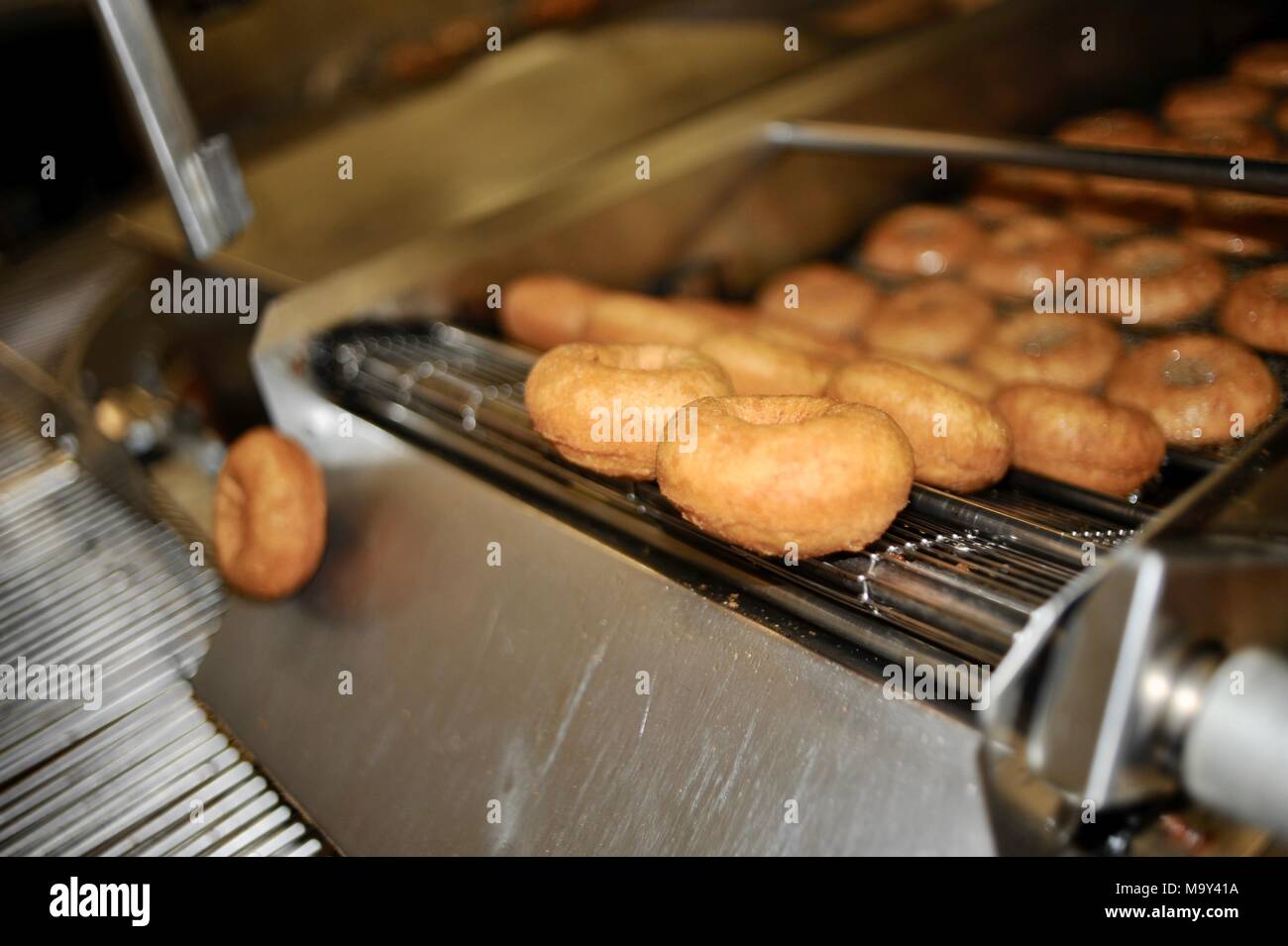 Hot, fresh fried cider donuts made at the historic 1837 Franklin Cider
