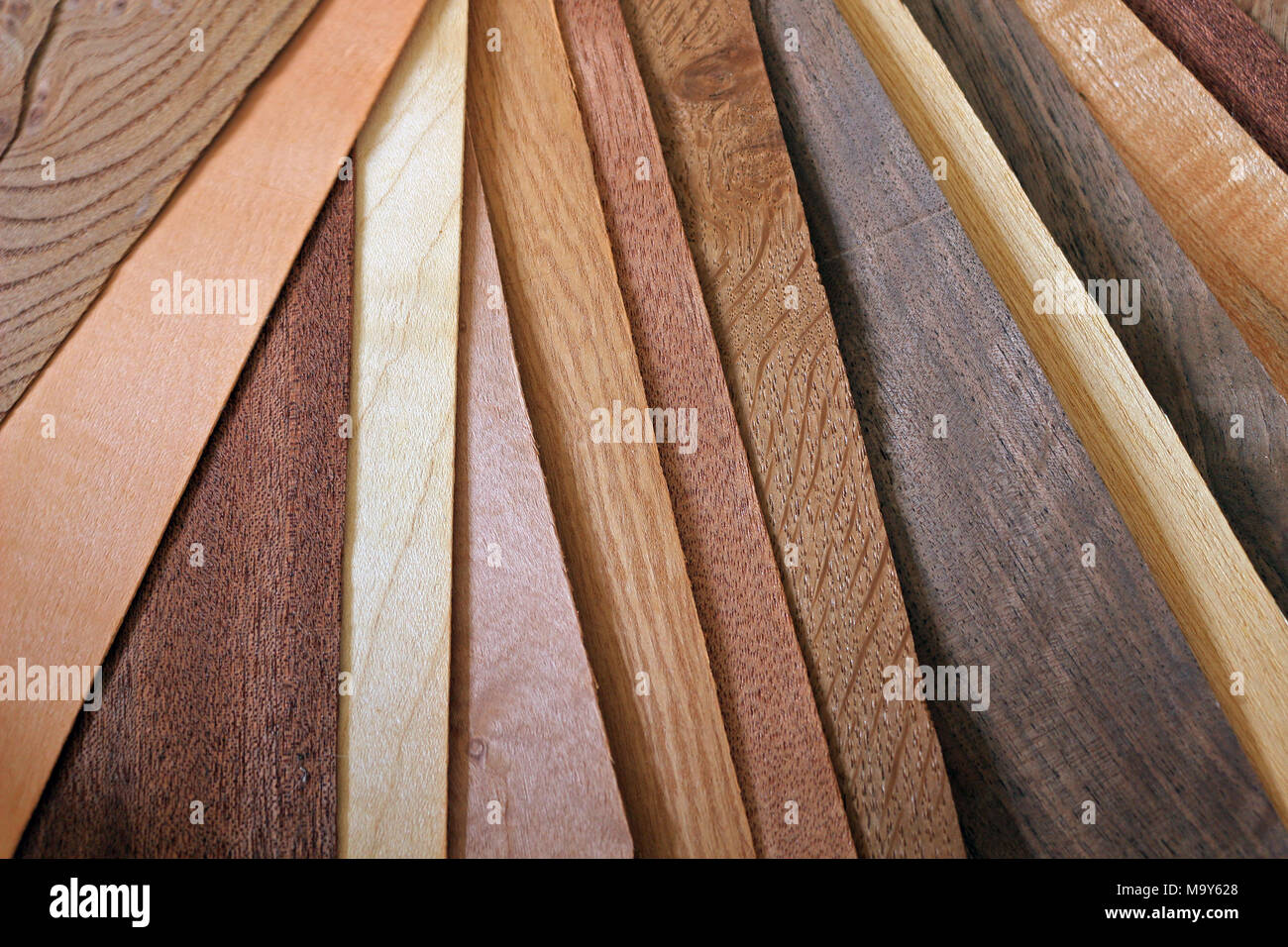 Sheets of Different Woods Stock Photo