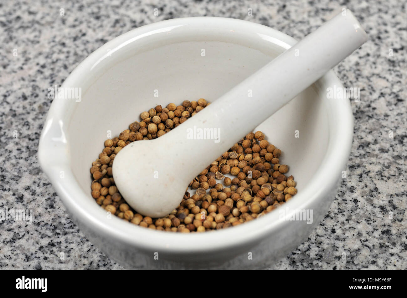 porcelain mortar with coriander seeds Stock Photo