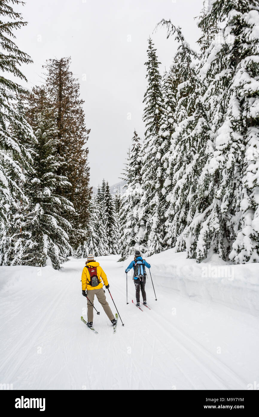 Two women seen from behind cross country skiing on a groomed trail