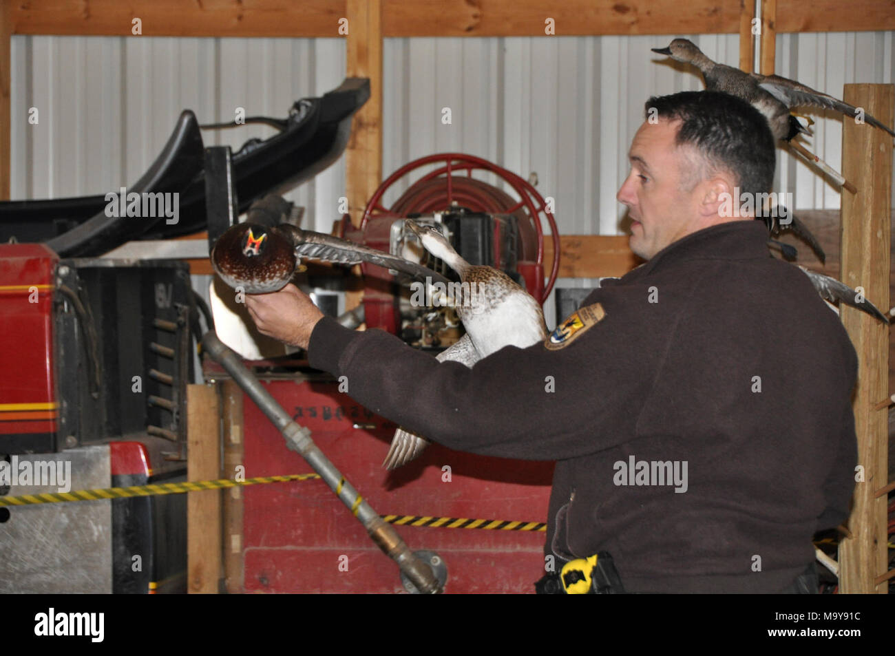 duck ID with Chuck Melvin med. Refuge Officer Chuck Melvin teaches youth and parents about duck identification and hunting regulations. Stock Photo