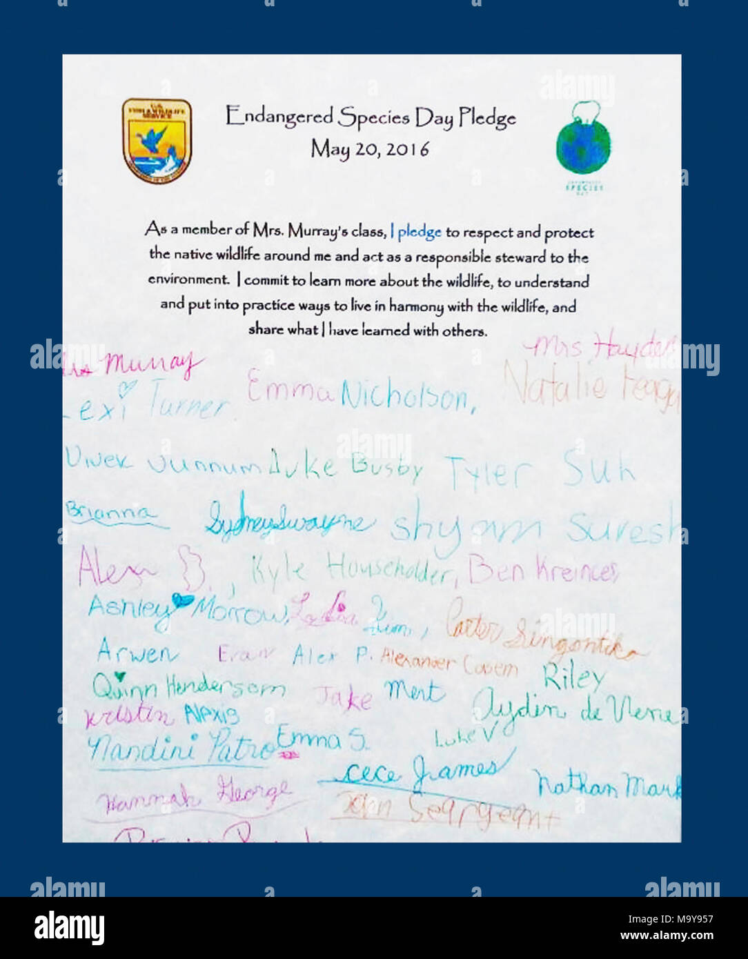 Endangered Species Day Pledge. Nearly 200 students from Sycamore Canyon  School signed an Endangered Species Day pledge on May 20, 2016, to respect  and protect native wildlife Stock Photo - Alamy
