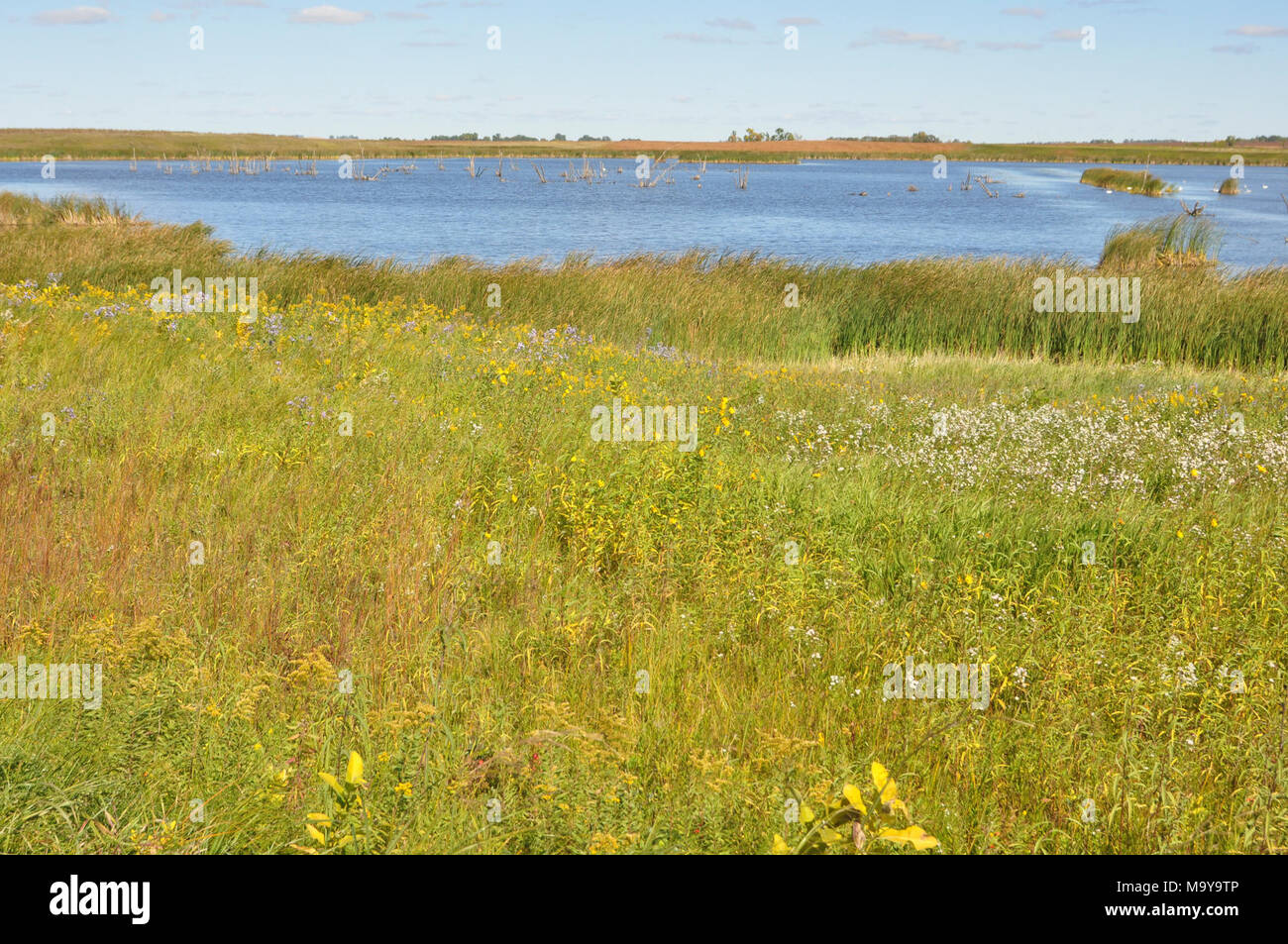 Hamden Slough NWR Stock Photo Alamy