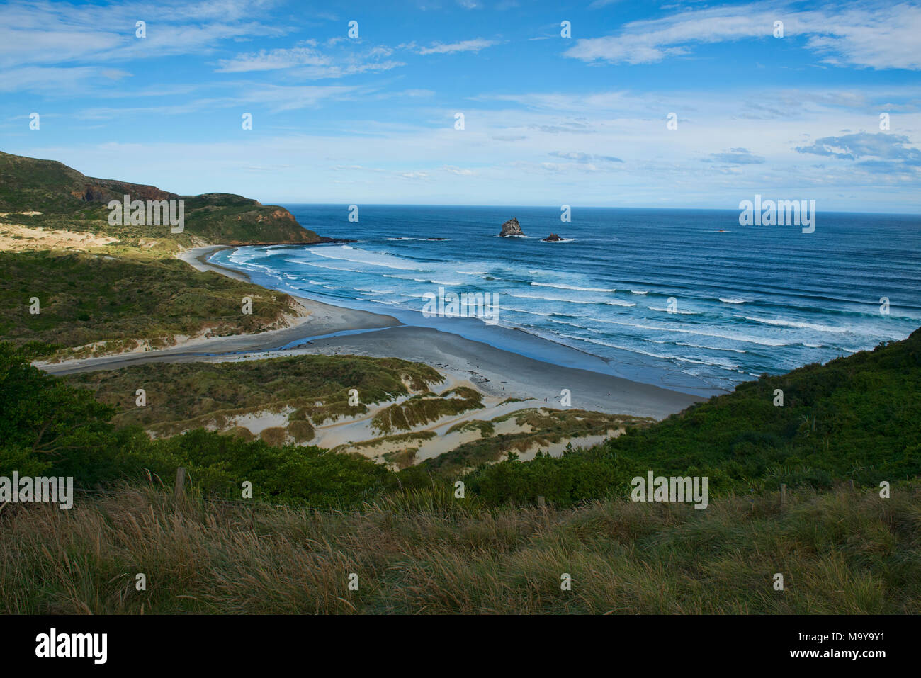 Pristine Sandfly Bay, Otago Peninsula, Dunedin, New Zealand Stock Photo