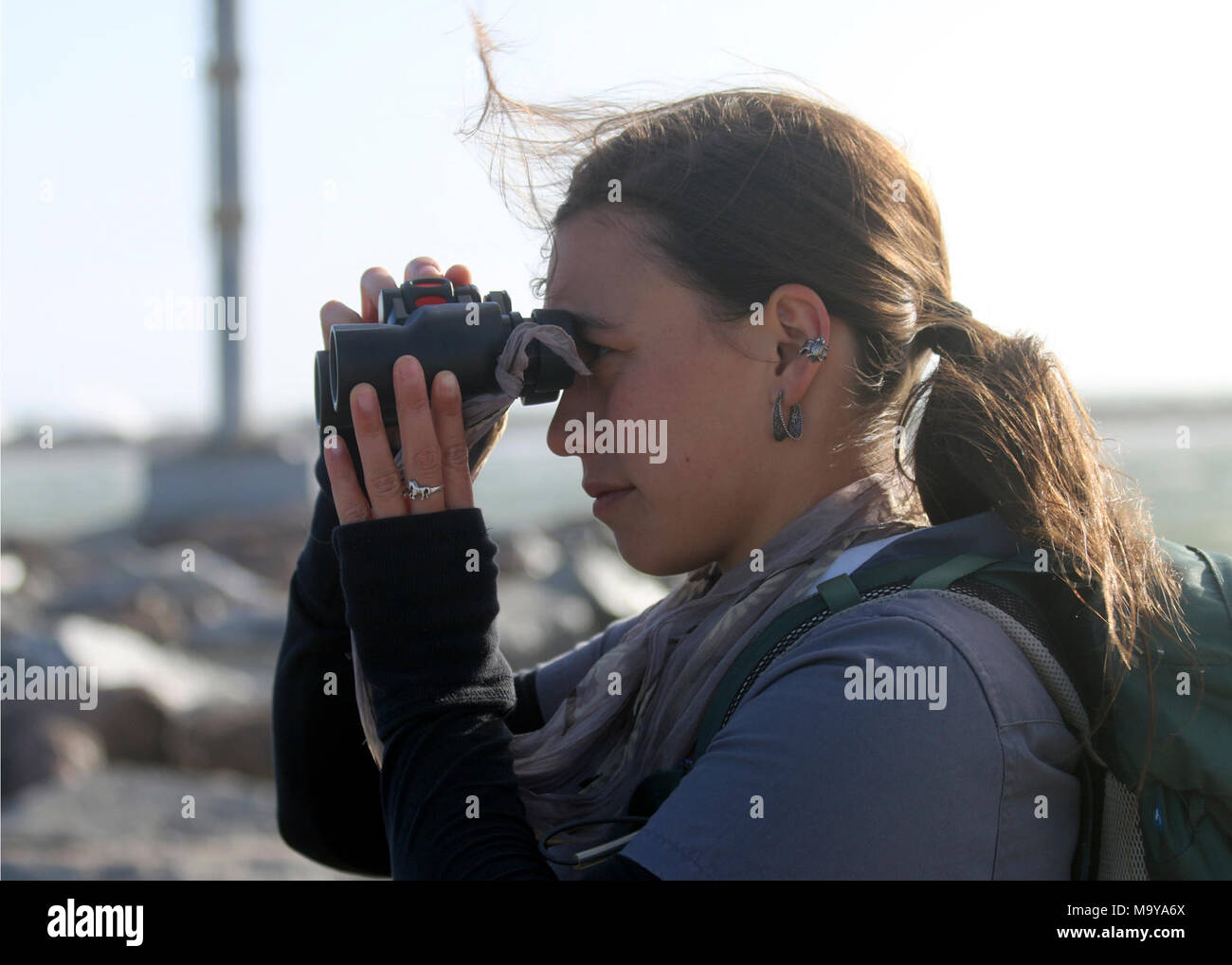 Karen Sinclair, a fish and wildlife biologist with the US. OXNARD, Calif. (May 6, 2017) - Karen Sinclair, a fish and wildlife biologist with the U.S. Fish and Wildlife Service in Ventura looks for California brown pelicans during the biannual brown pelican survey held along the West Coast. The survey is conducted with the intent to gather information needed to understand how potential threats from changes in weather patterns, prey availability, or changes in habitat or contaminants could impact California brown pelican populations over time. Stock Photo