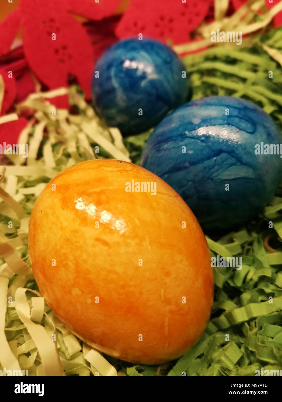 colorful easter eggs lying in grass, theme for easter, Stock Photo