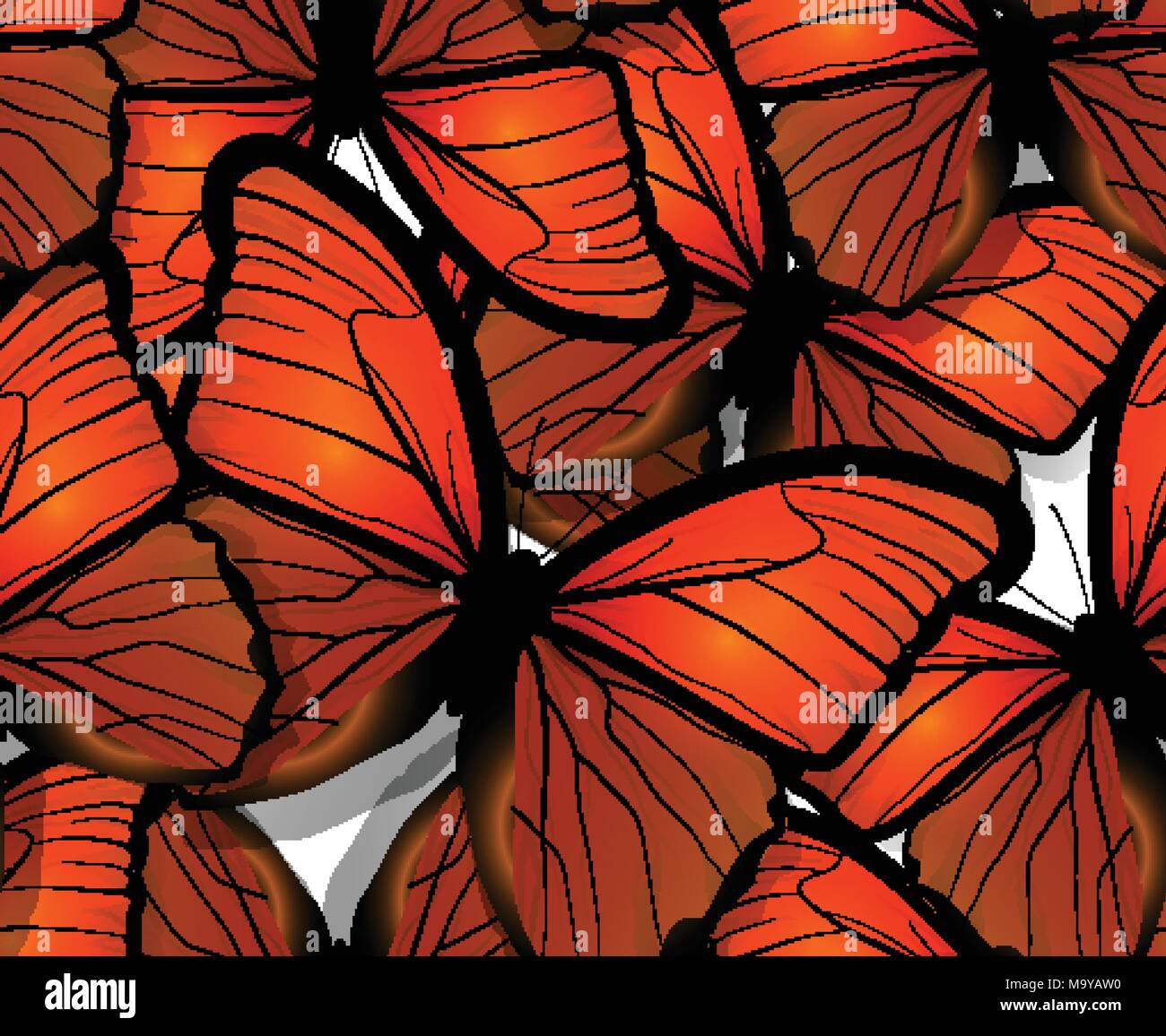 Seamless butterfly pattern wings on white Stock Vector Image & Art - Alamy