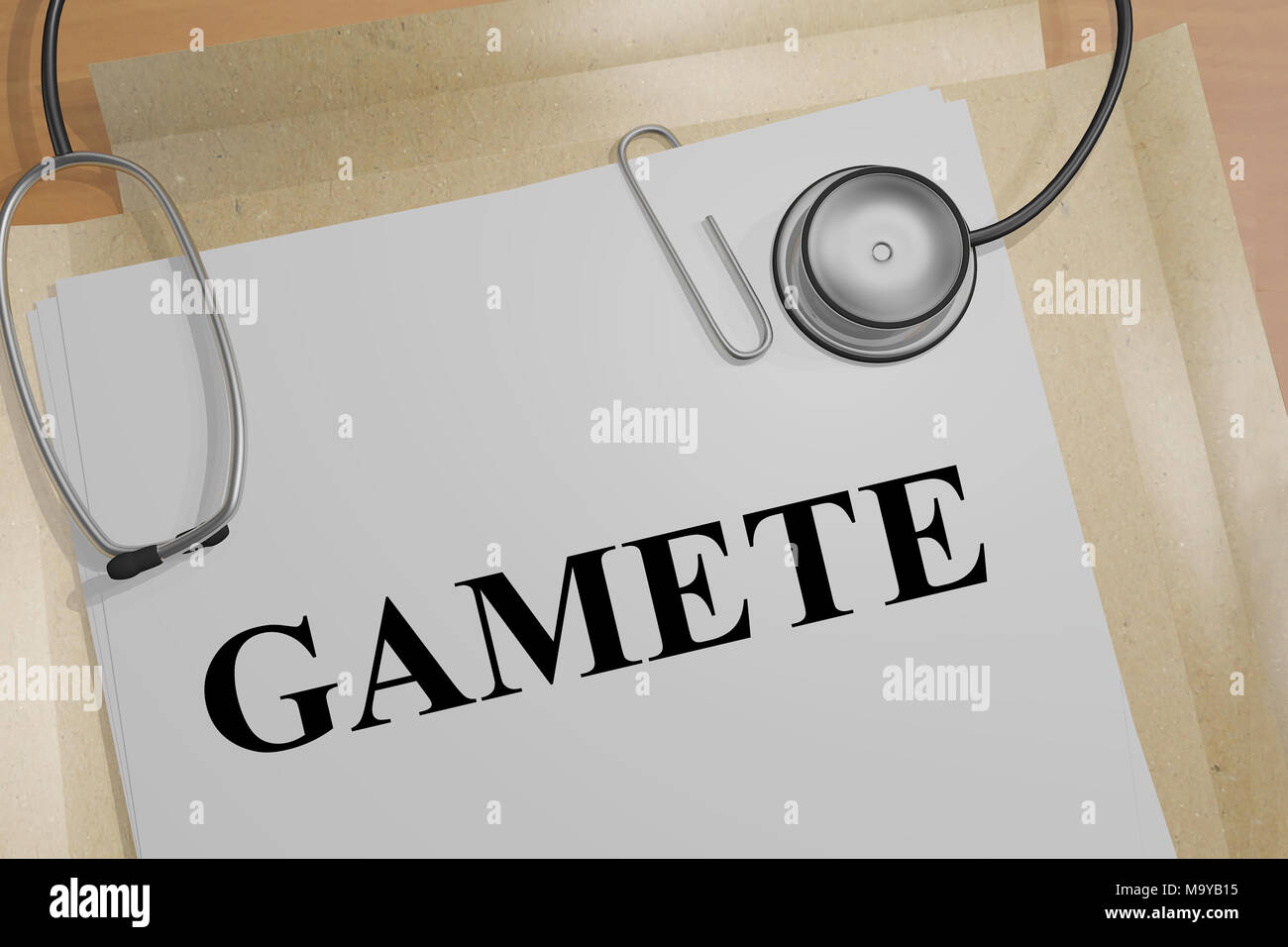 3D illustration of GAMETE title on a medical document Stock Photo