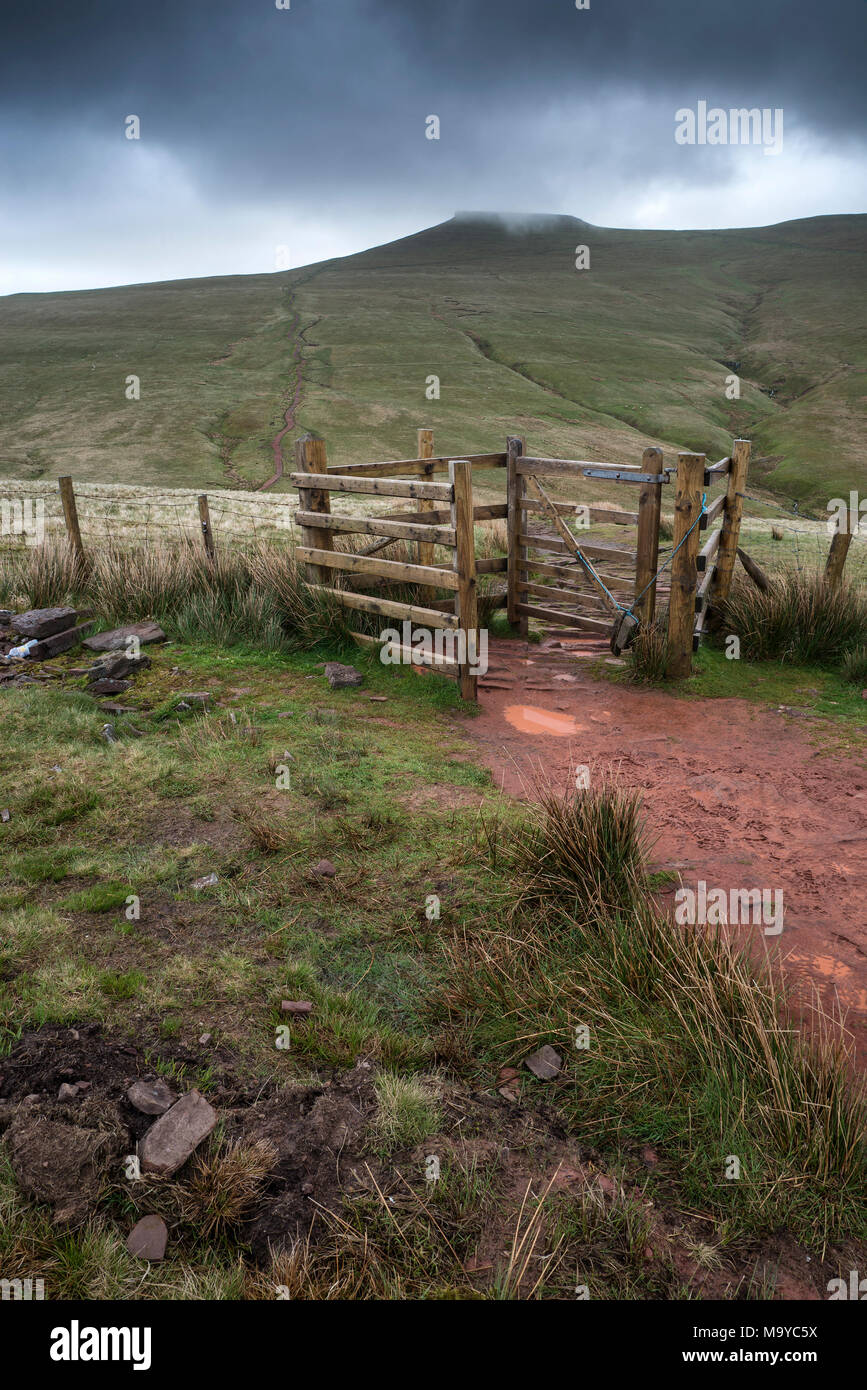 Footpath in Brecon Beacons landscape leading to Corn Du peak with ...