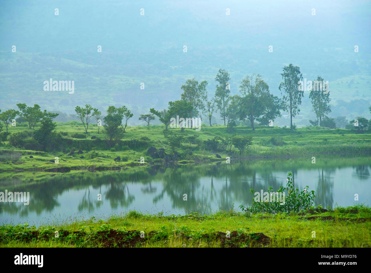 Rainy season in india hires stock photography and images Alamy