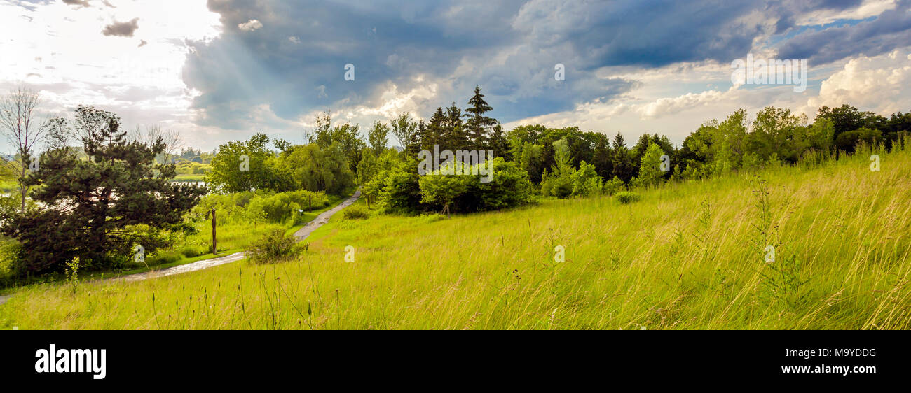 Panorama of the summer landscape of park on the shore of a pond Stock Photo
