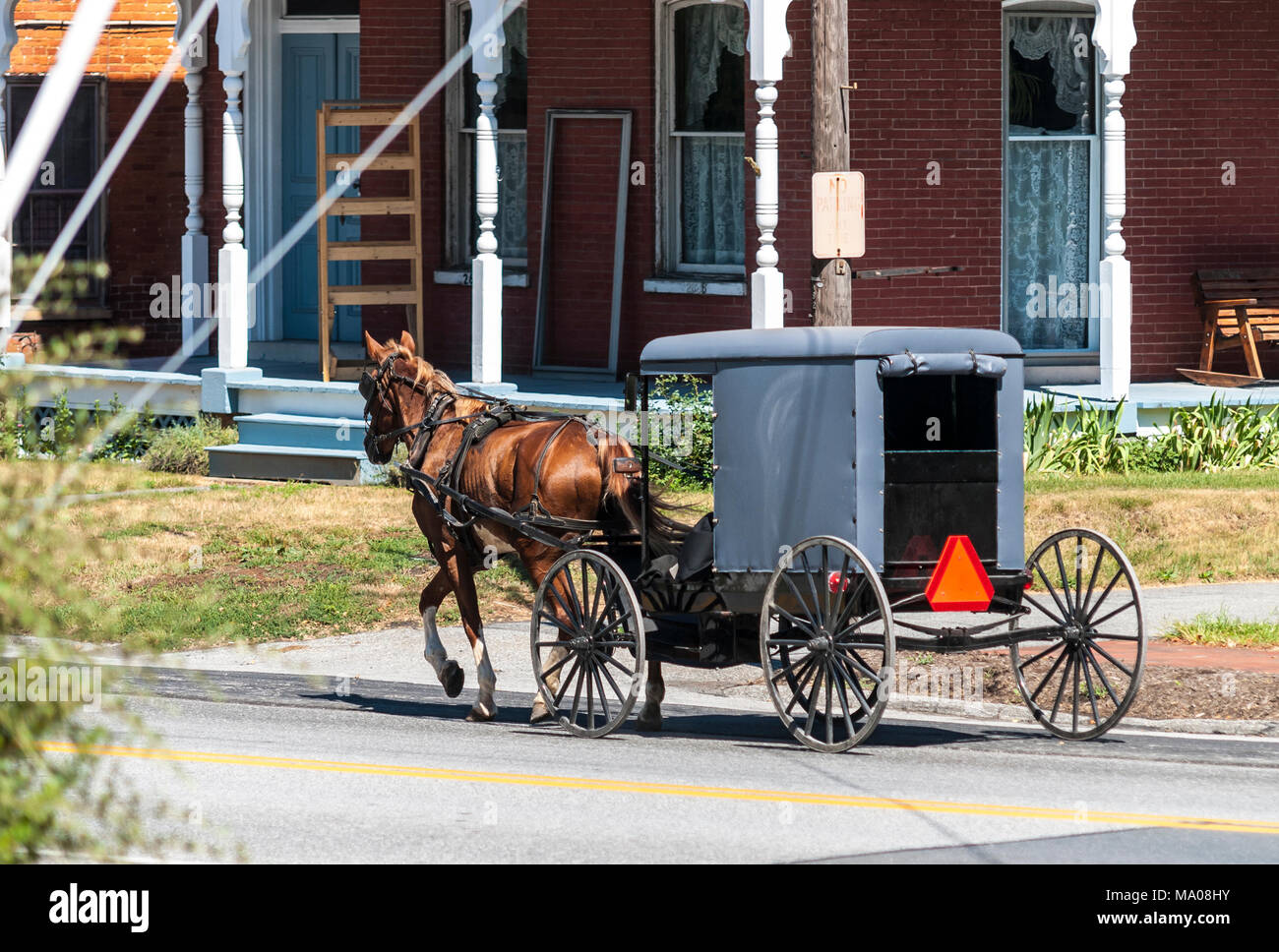 Amish Horse Pulling a Buggy on a Sunny Summer Day on the Streets of