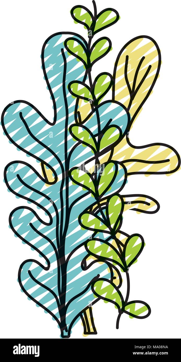 doodle seaweed nature marine plant design Stock Vector Image & Art - Alamy