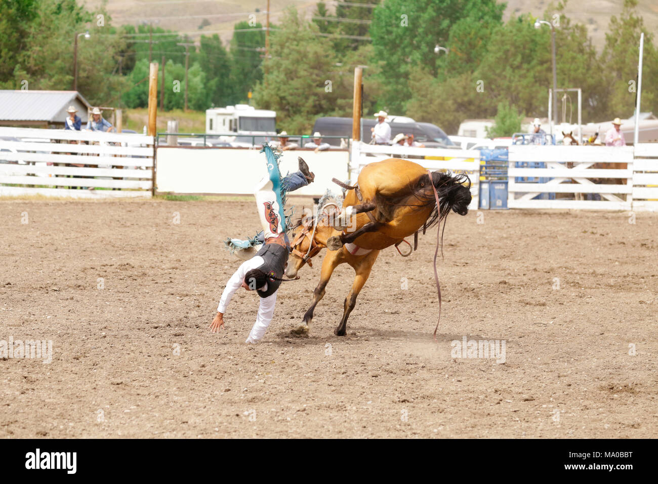 Bronc rider is going to have a hard landing Stock Photo