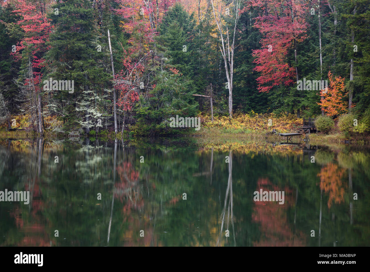 Green Mountains New England Autumn High Resolution Stock Photography ...