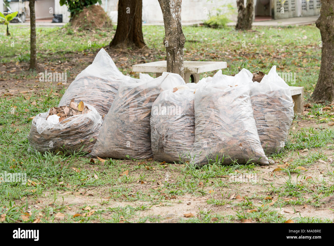 https://c8.alamy.com/comp/MA0BRE/autumn-cleaning-leavespile-of-full-white-garbage-bags-on-the-grass-in-the-parkleaves-in-bag-garbage-MA0BRE.jpg