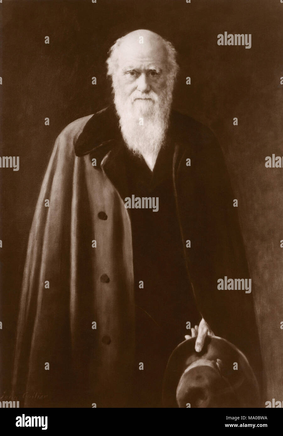 Charles Darwin (1809-1882) in a painting by John Collier, from his copy of  the original portrait by him, at Down House (the home of Charles Darwin  Stock Photo - Alamy