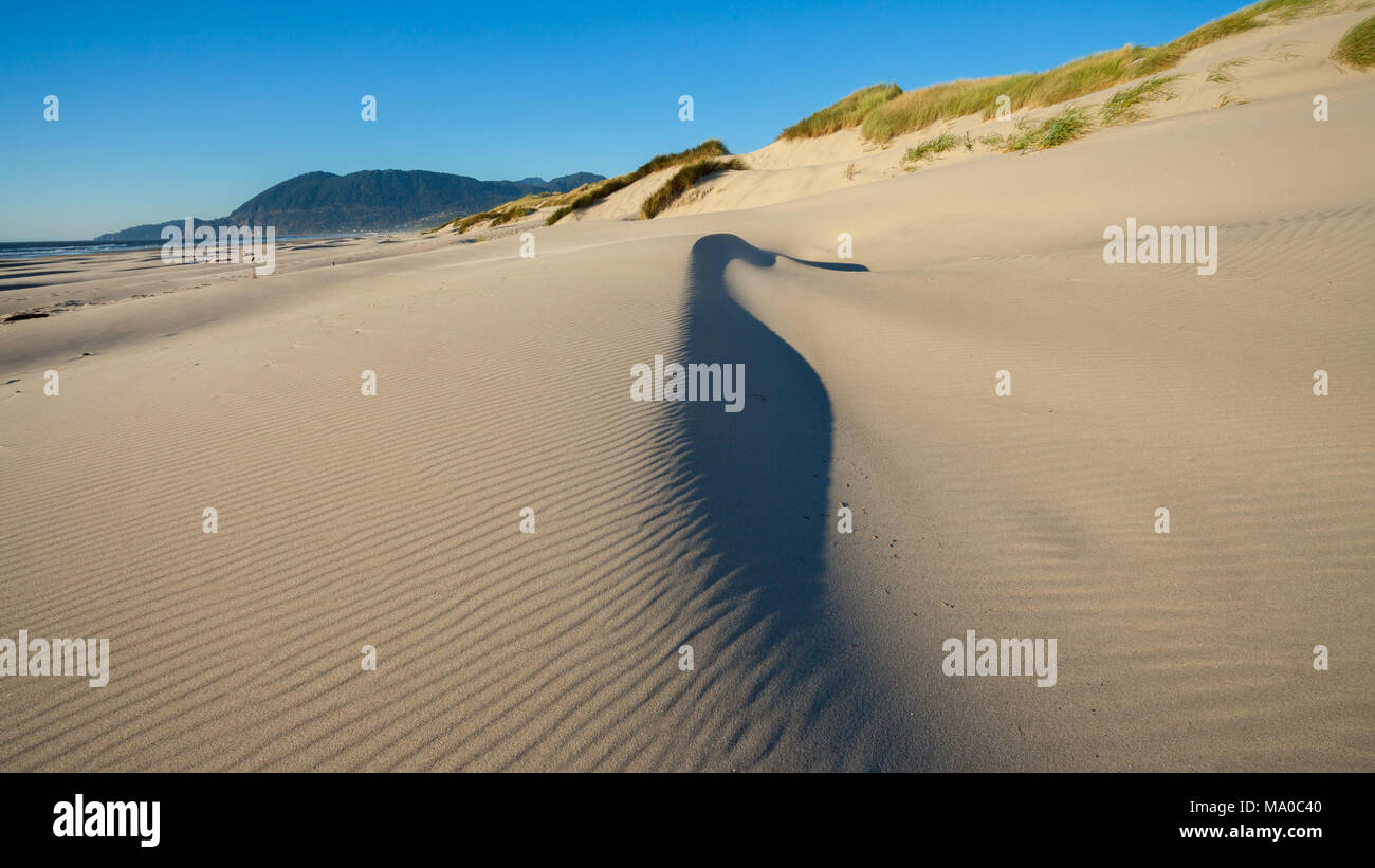 A sand dune on a beach on the Oregon coast with the sand being blown around by the wind Stock Photo